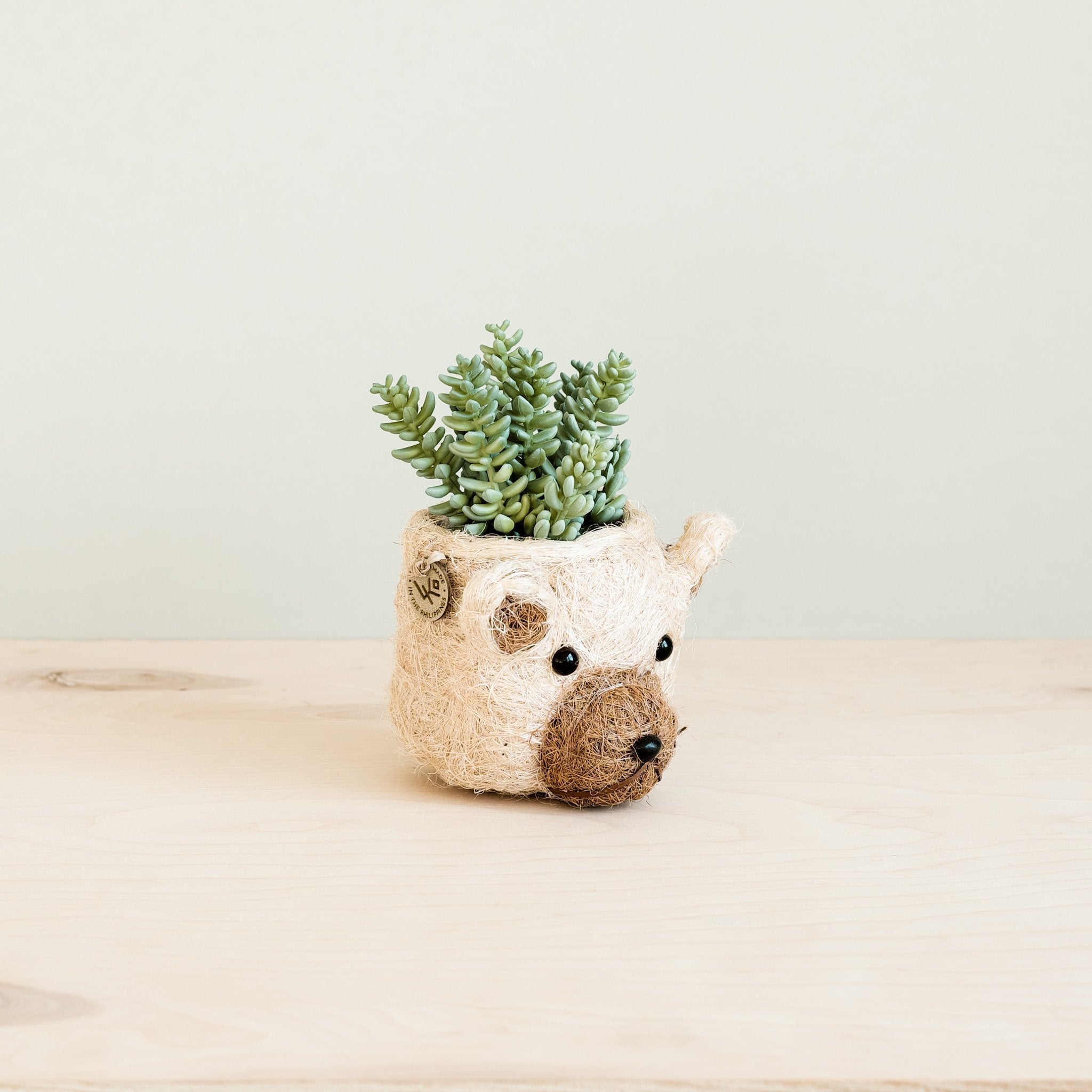 Bear Planter - Animal Head Planters | Likhâ