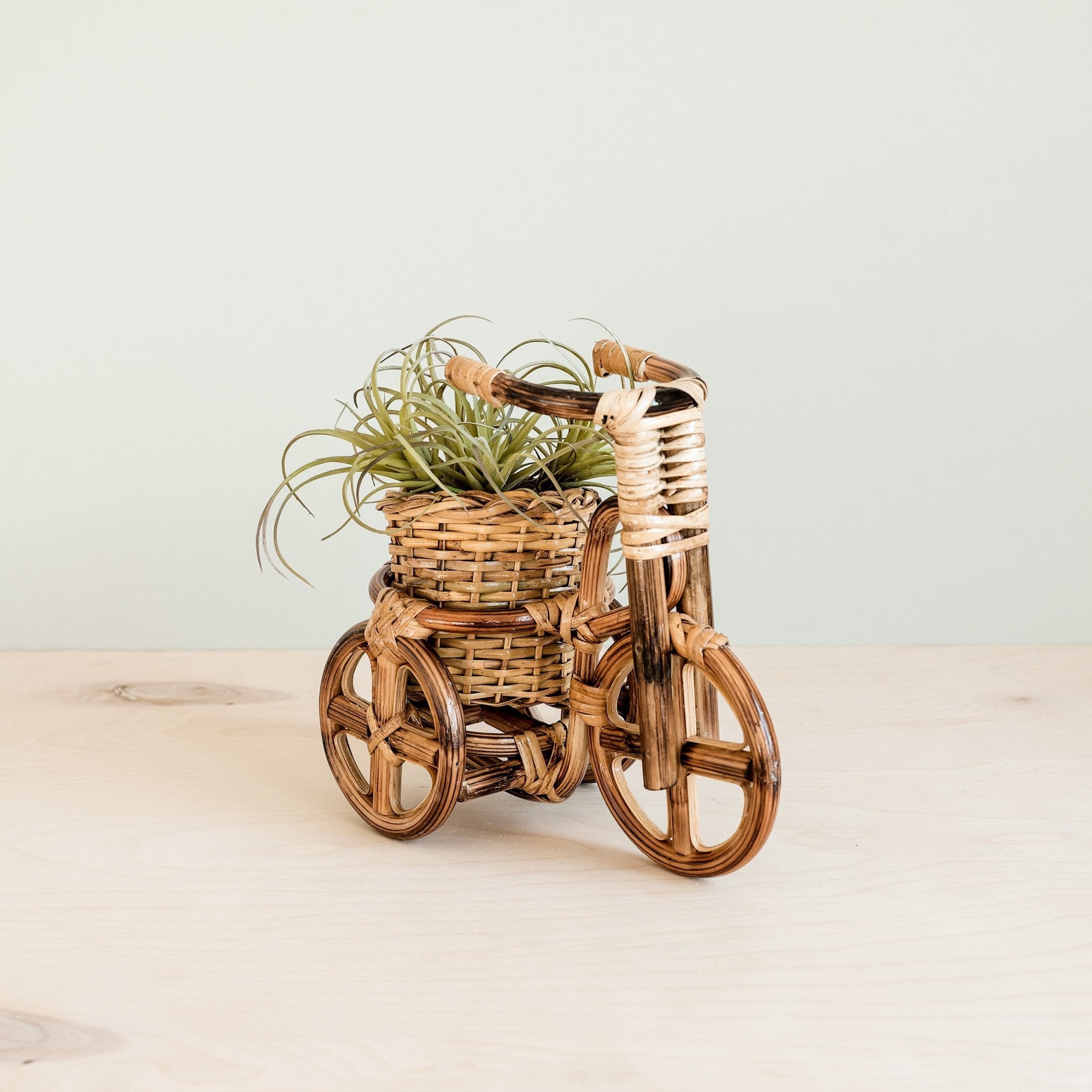 Bicycle Rattan Planter, Medium - Handmade Planters | Likhâ
