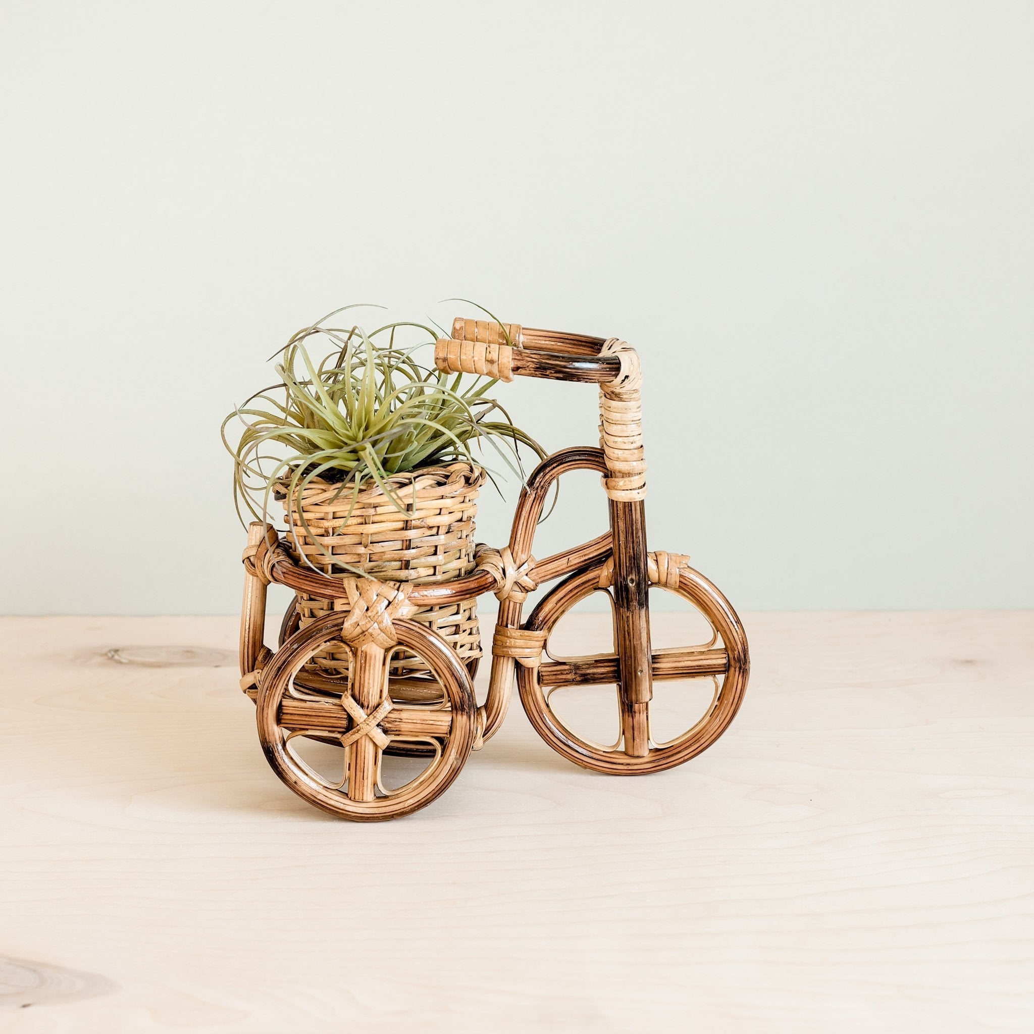 Bicycle Rattan Planter, Medium - Handmade Planters | Likhâ