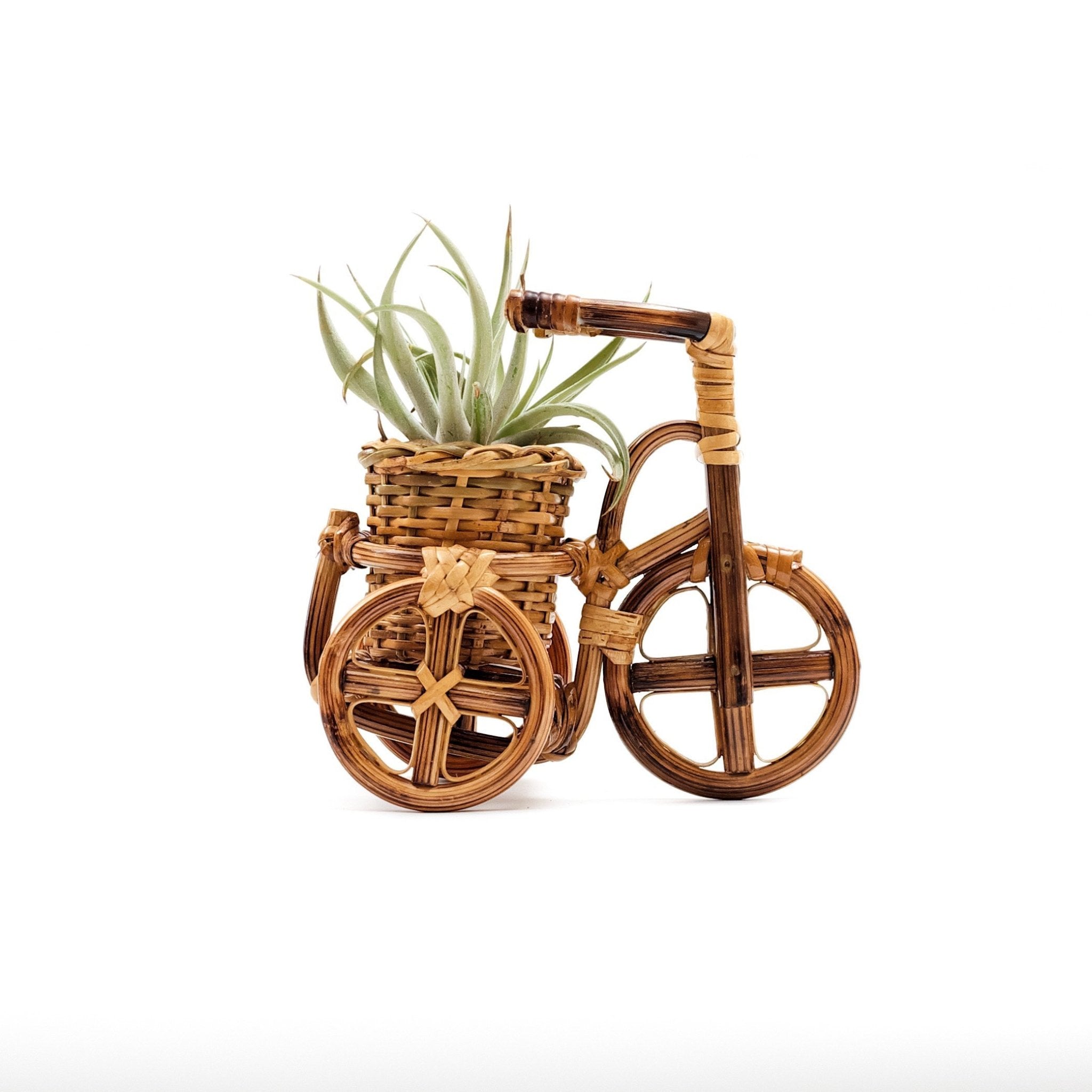 Bicycle Rattan Planter, Small - Handmade Planters | Likhâ