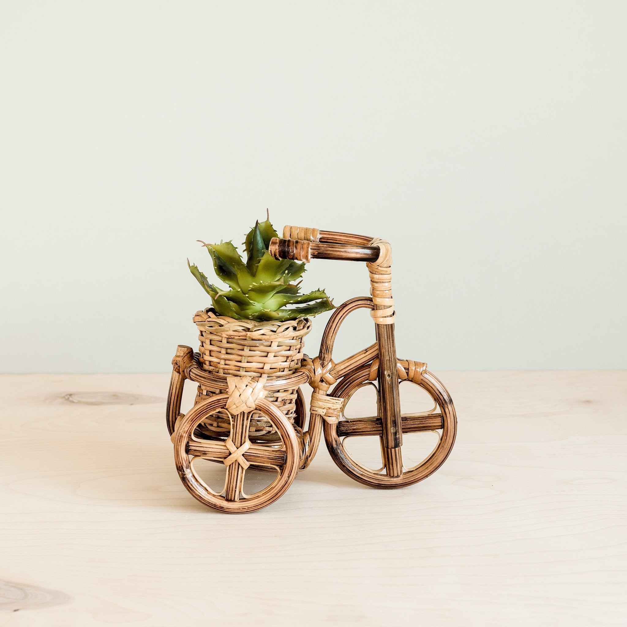 Bicycle Rattan Planter, Small - Handmade Planters | Likhâ