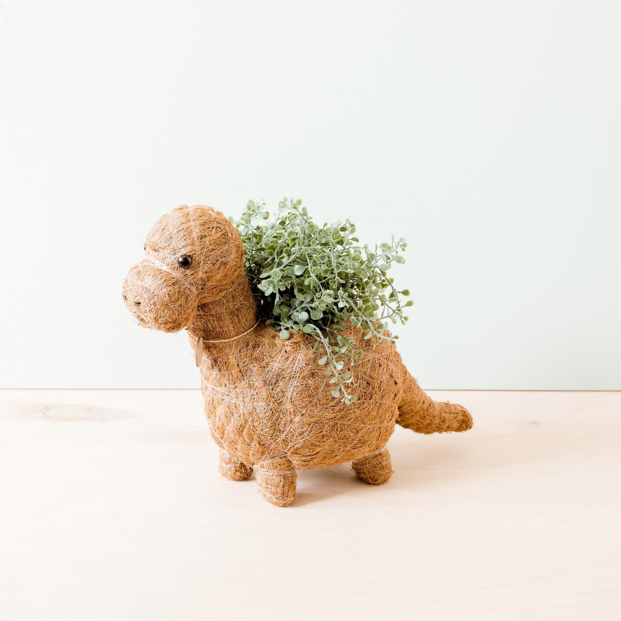 Brontosaurus Planter - Coco Coir Pots | Likhâ