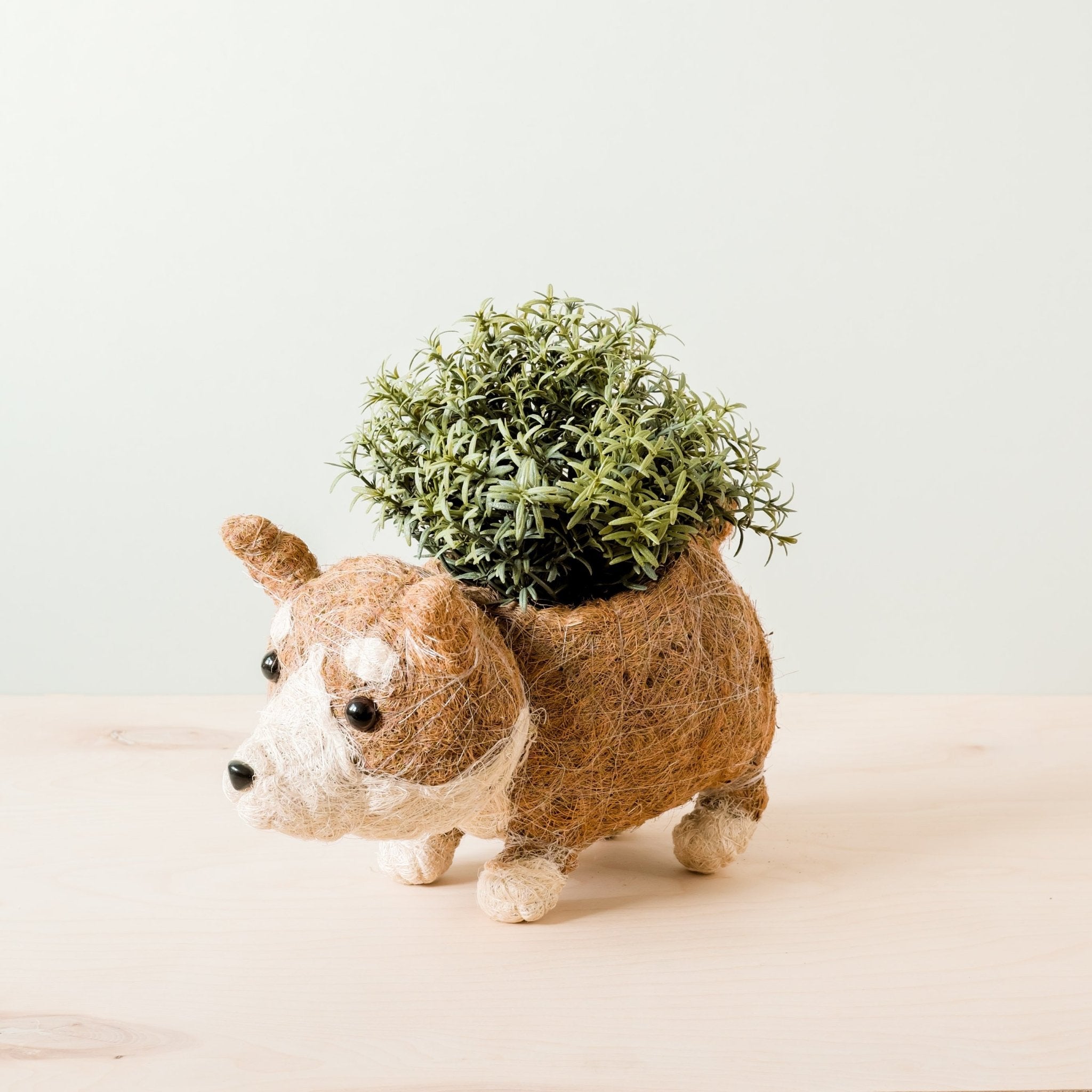Corgi Succulent Pot - Handmade Planters | Likhâ