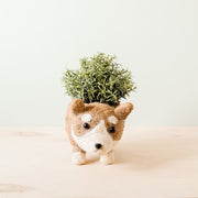 Corgi Succulent Pot - Handmade Planters | Likhâ