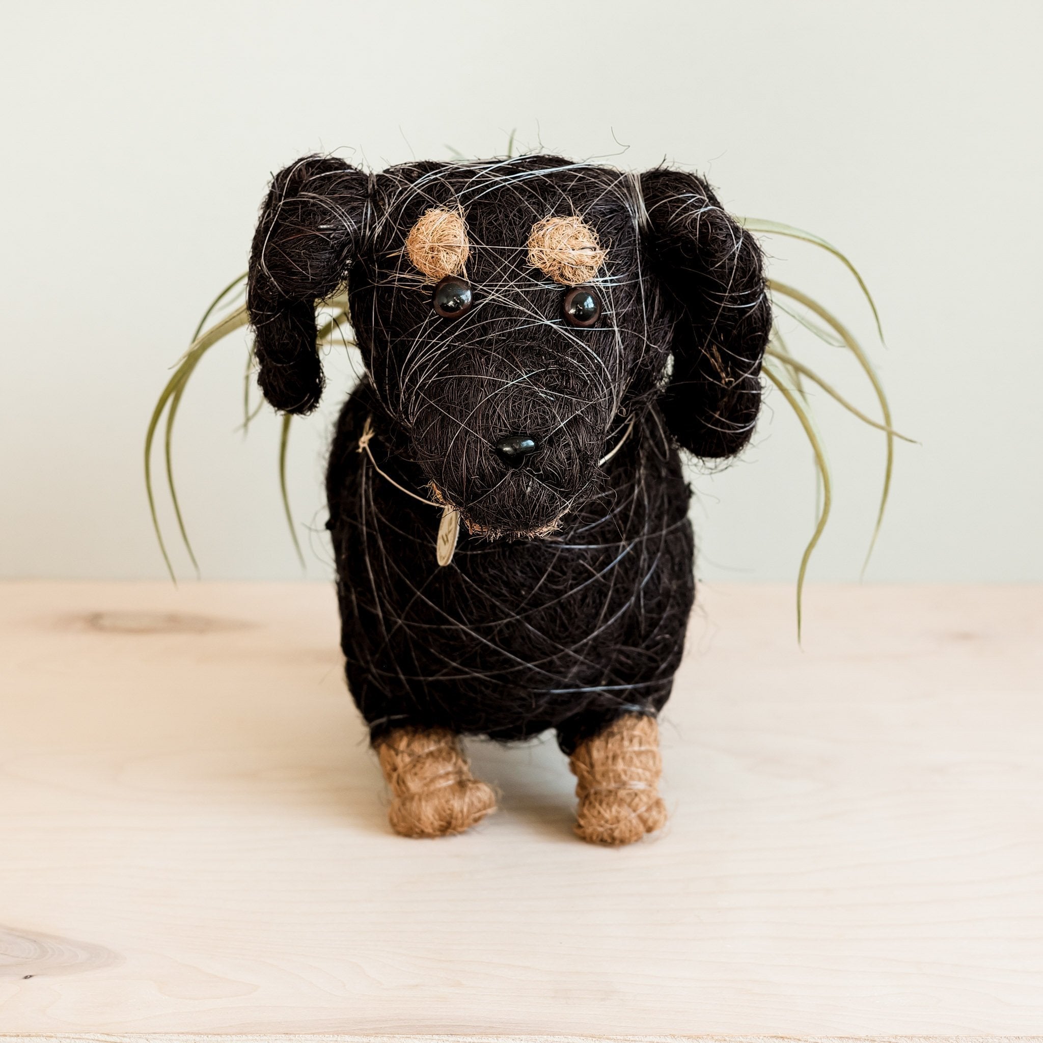 Dachshund Dog Planter - Coco Planter | Likhâ