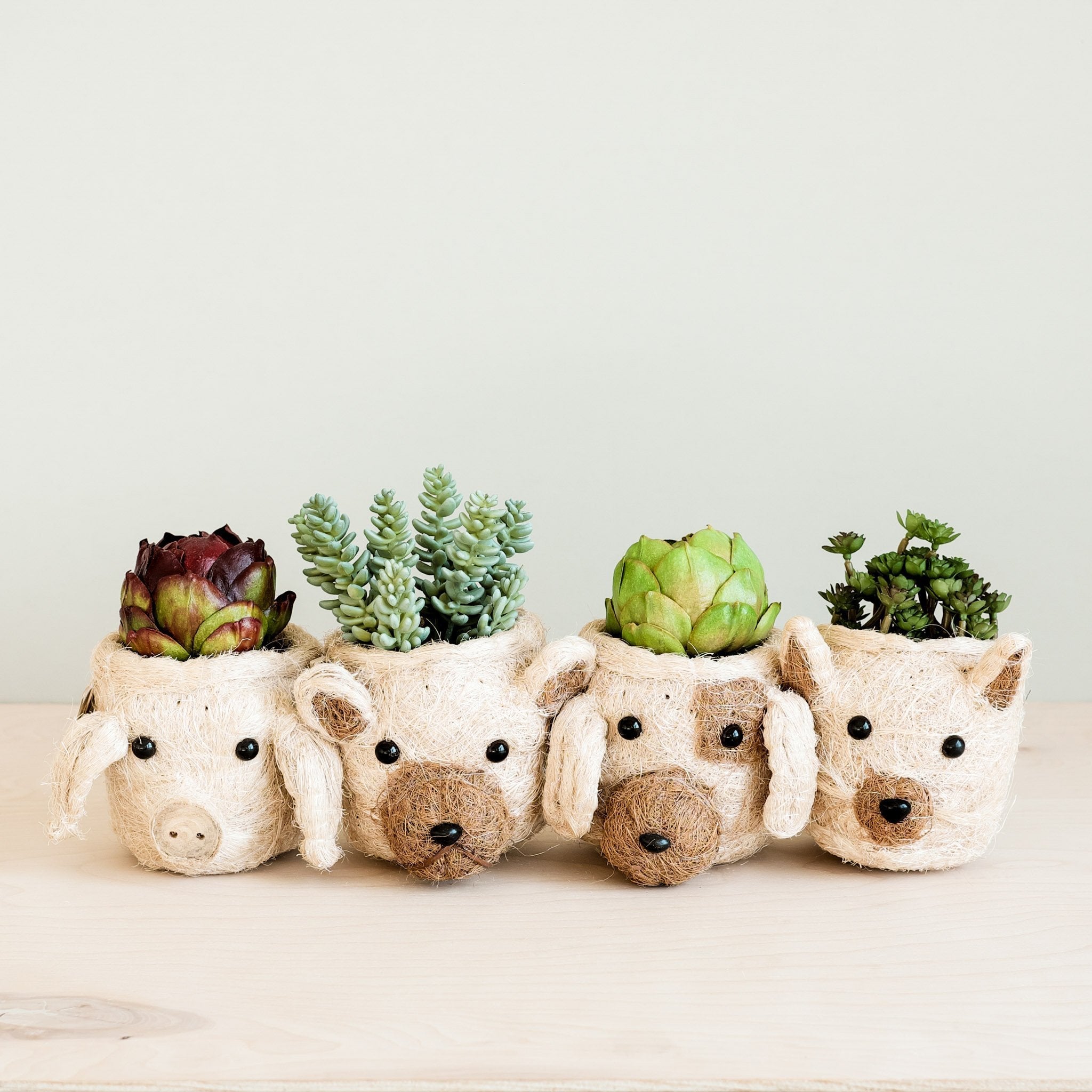 Dog Succulent Planter - Animal Head Plant Pot | Likhâ