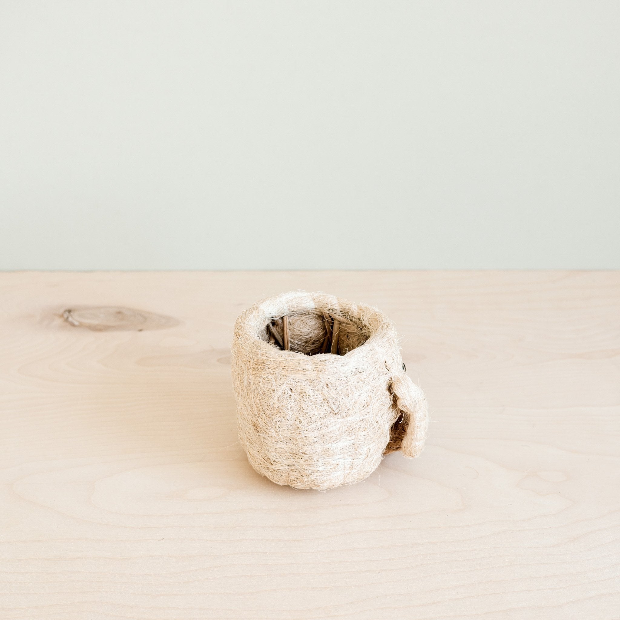 Dog Succulent Planter - Animal Head Plant Pot | Likhâ