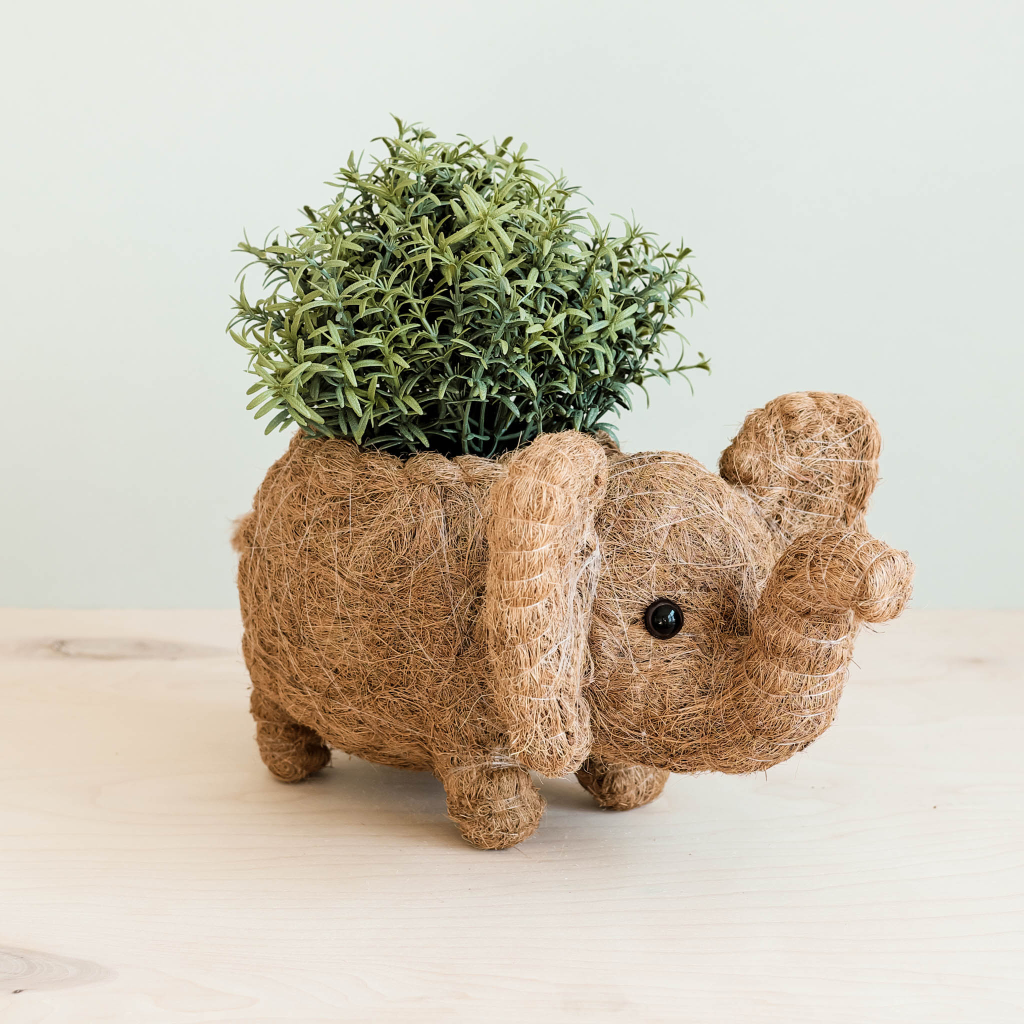 Elephant Plant Pot - Handmade Planter | Likhâ