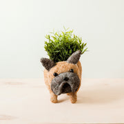 French Bulldog Planter - Coco Coir Pots | Likhâ