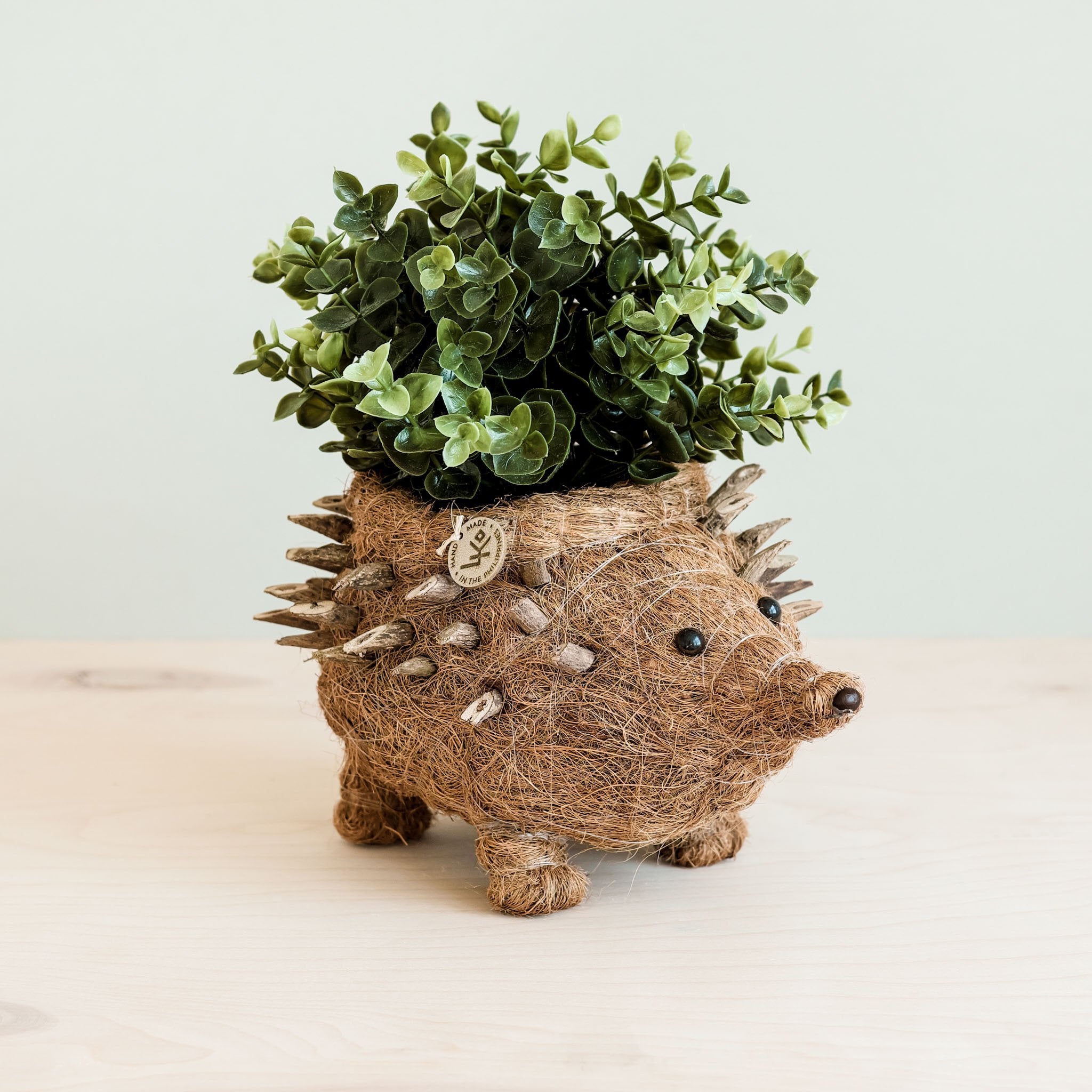 Hedgehog Planter - Coco Planter| Likhâ