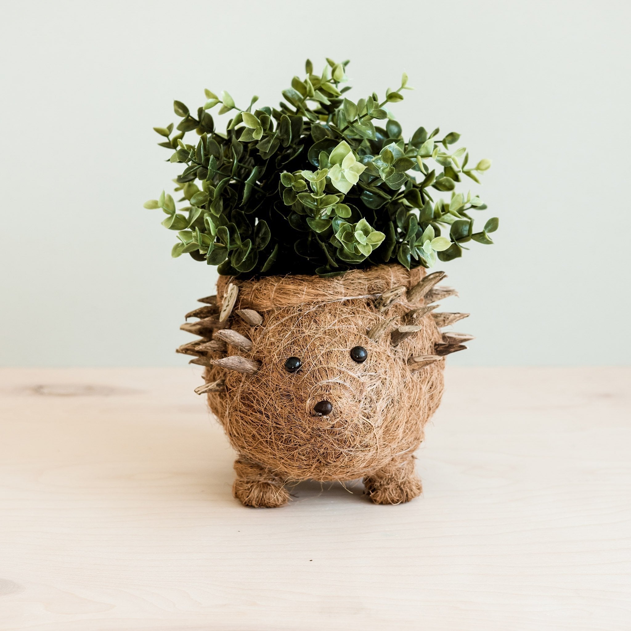 Hedgehog Planter - Coco Planter| Likhâ