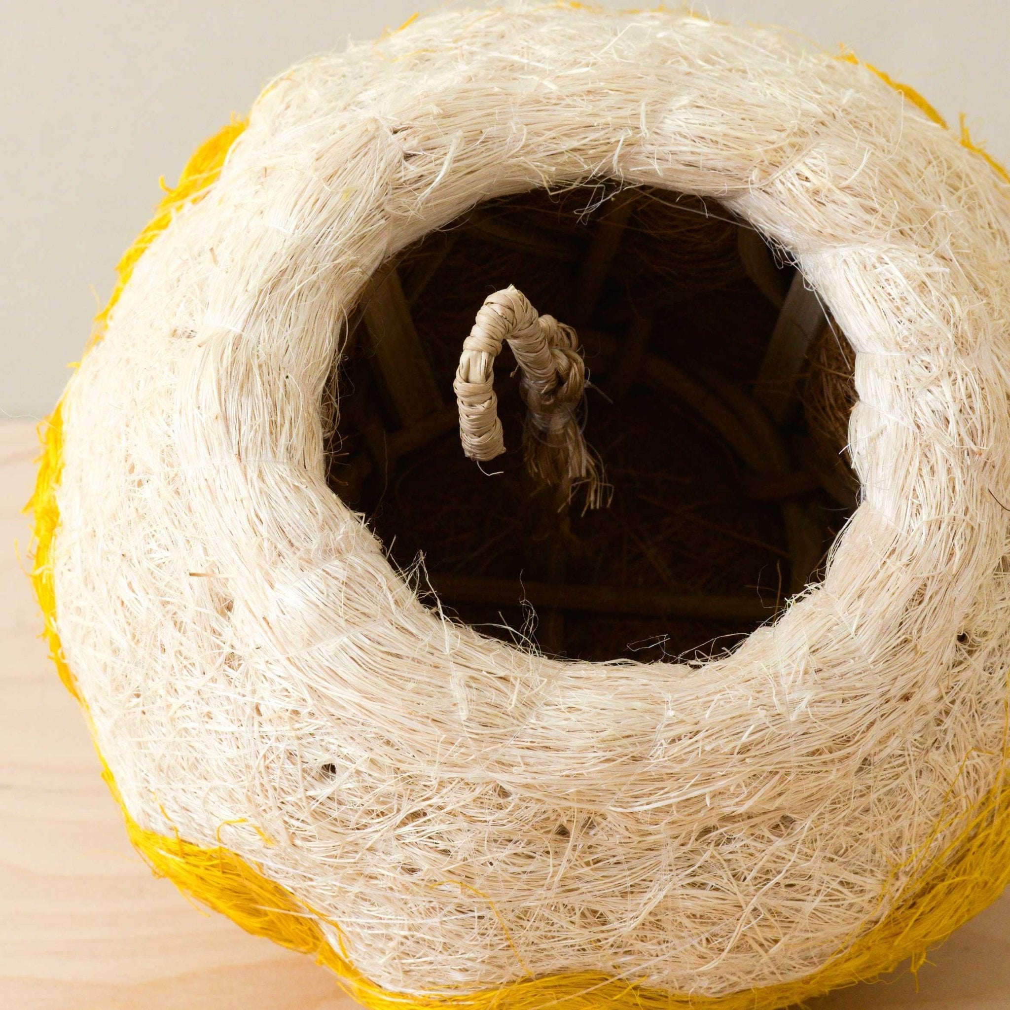 Jellyfish Air Planter - Handmade Planters | Likhâ