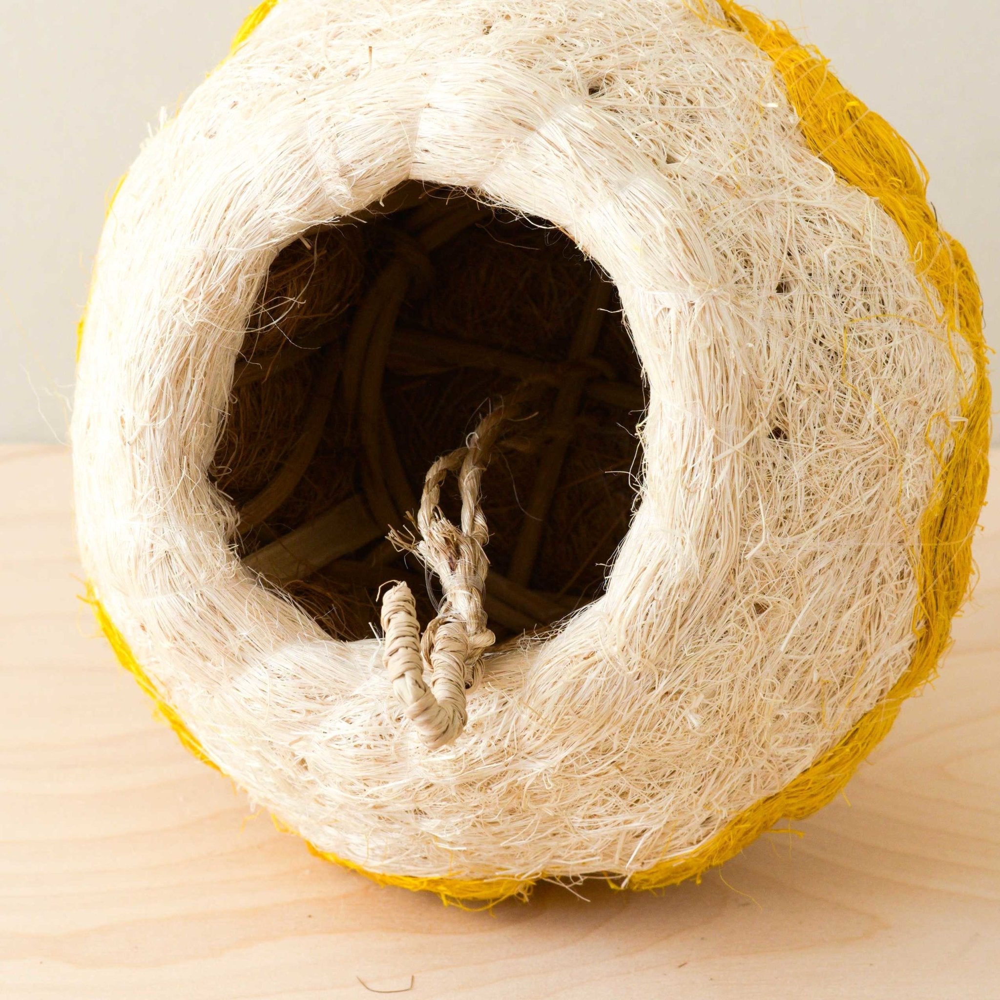 Jellyfish Air Planter - Handmade Planters | Likhâ