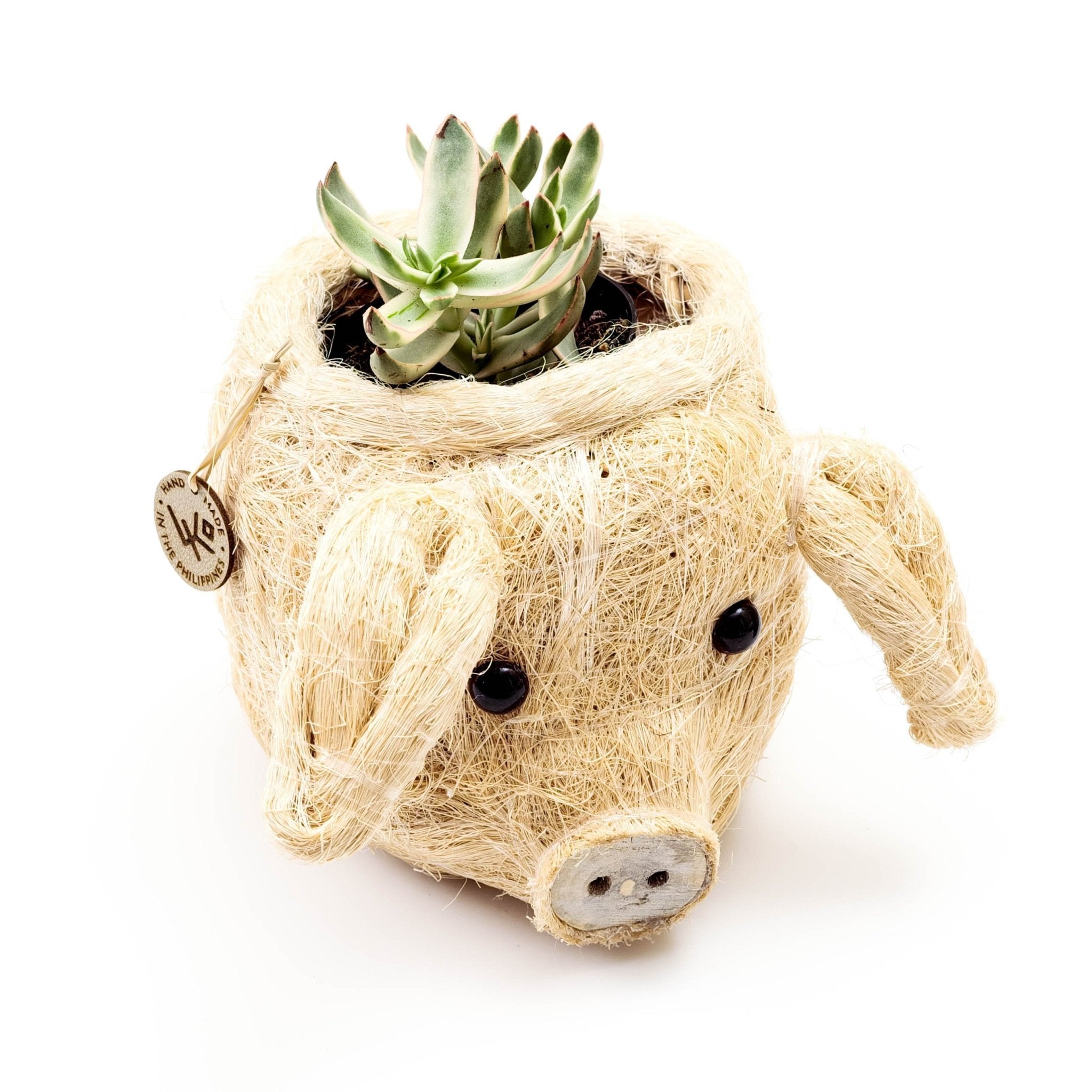 Pig Plant Pot - Animal Head Plant Pot | Likhâ