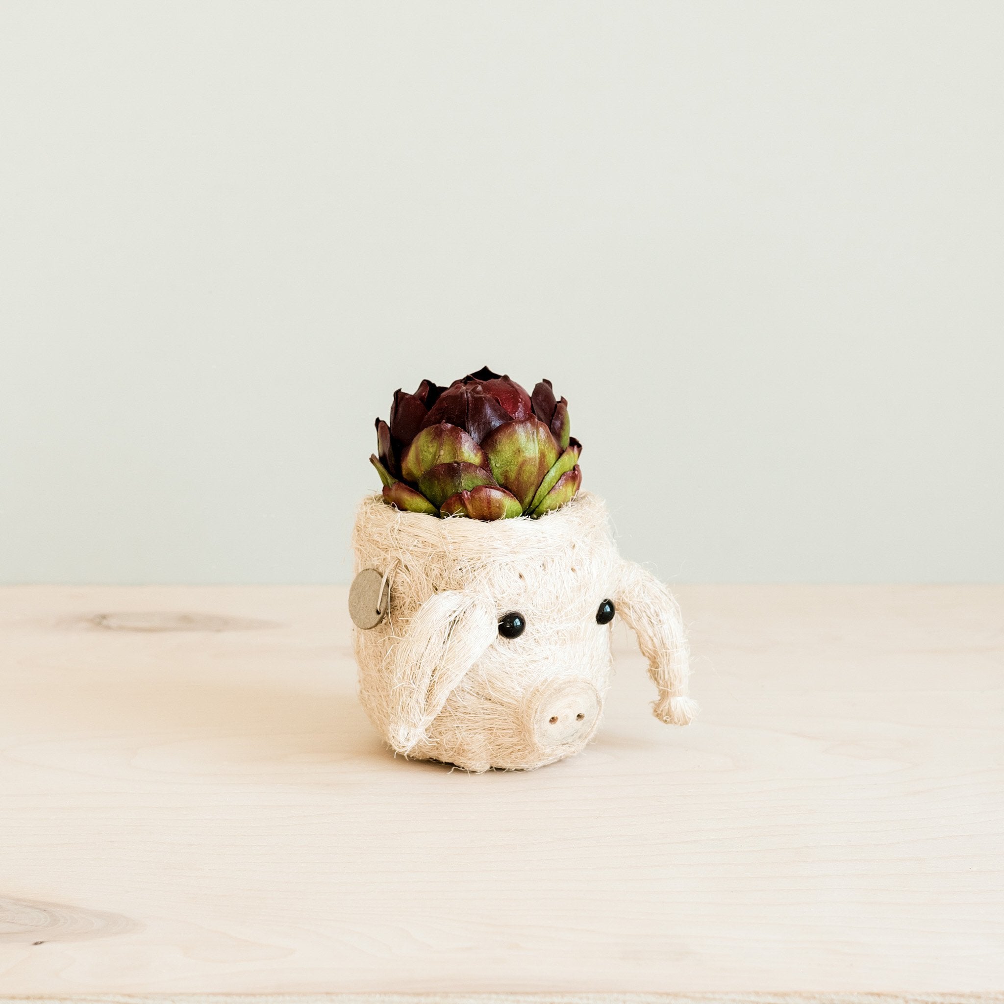 Pig Plant Pot - Animal Head Plant Pot | Likhâ