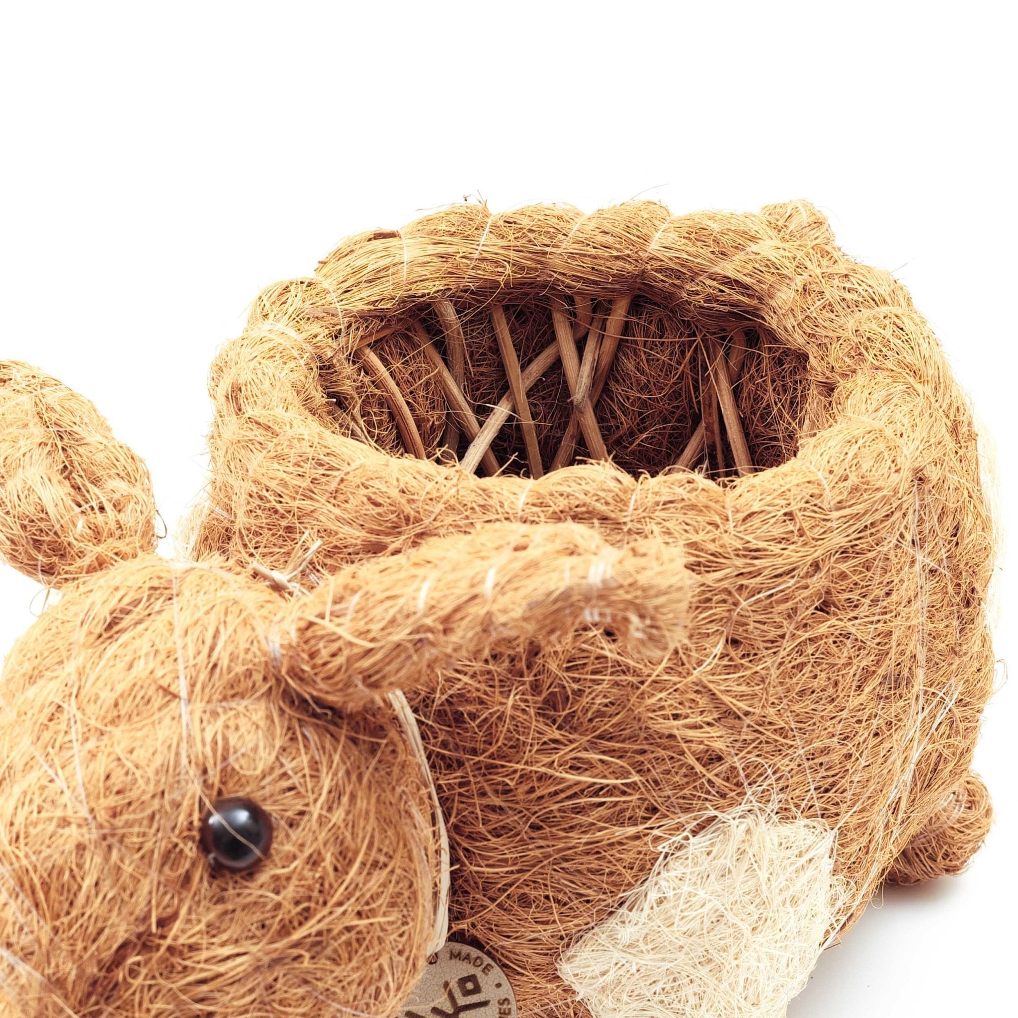 Pig Planter - Coco Coir Pots | Likhâ
