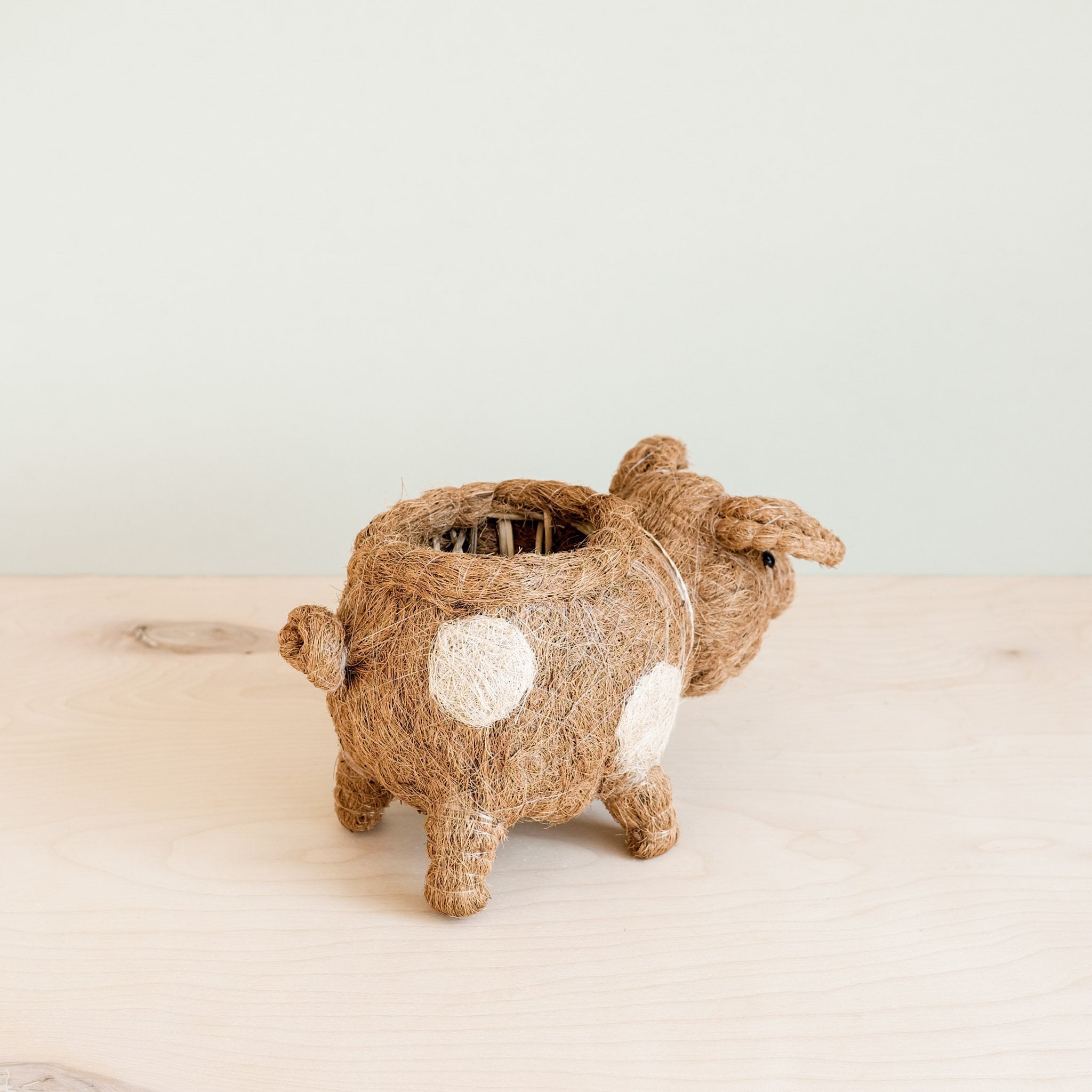 Pig Planter - Coco Coir Pots | Likhâ