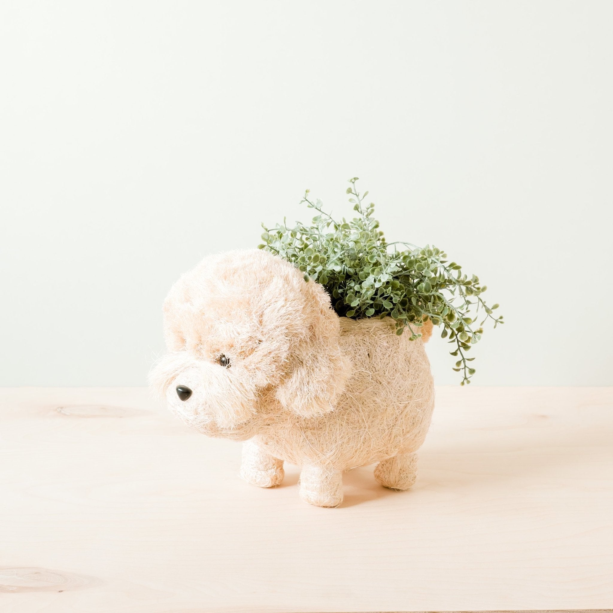 Poodle Planter - Coco Coir Pots | Likhâ