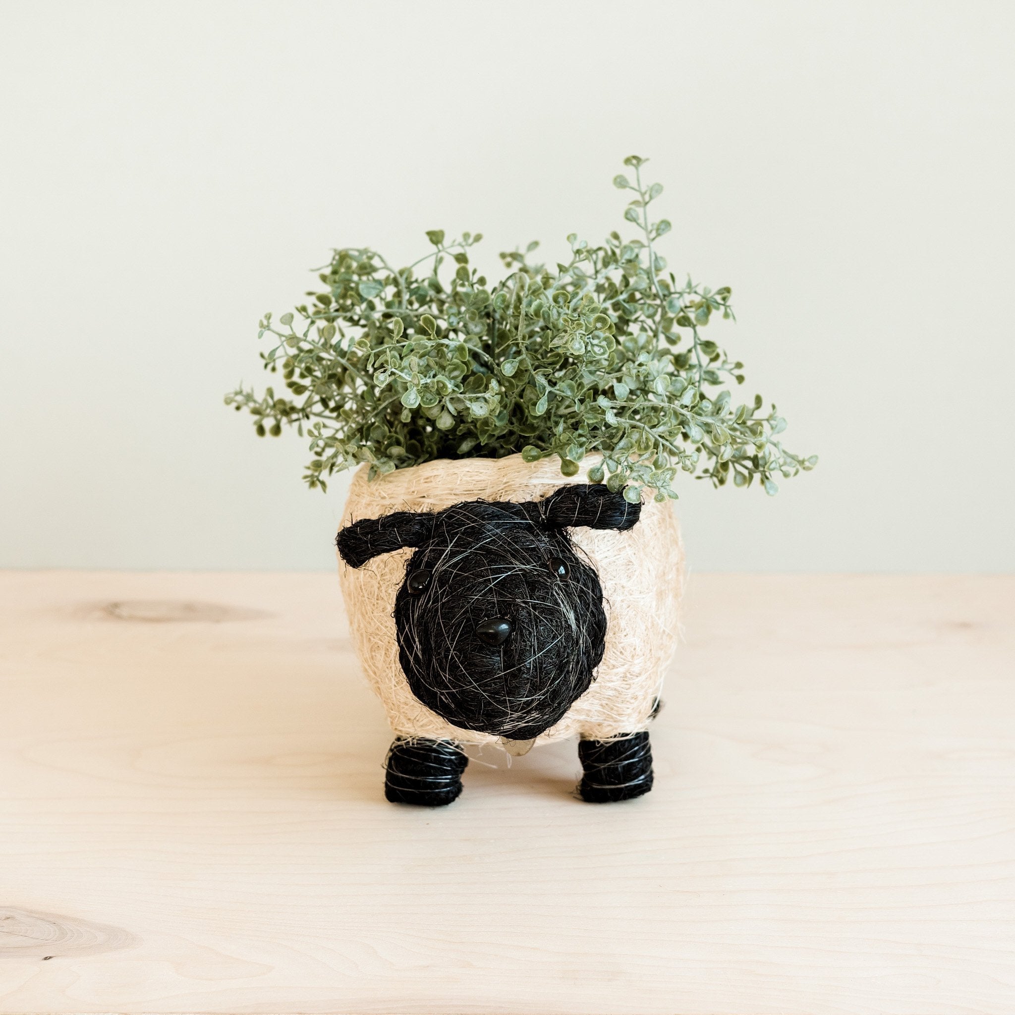Sheep Planter - Coco Coir Pots | Likhâ