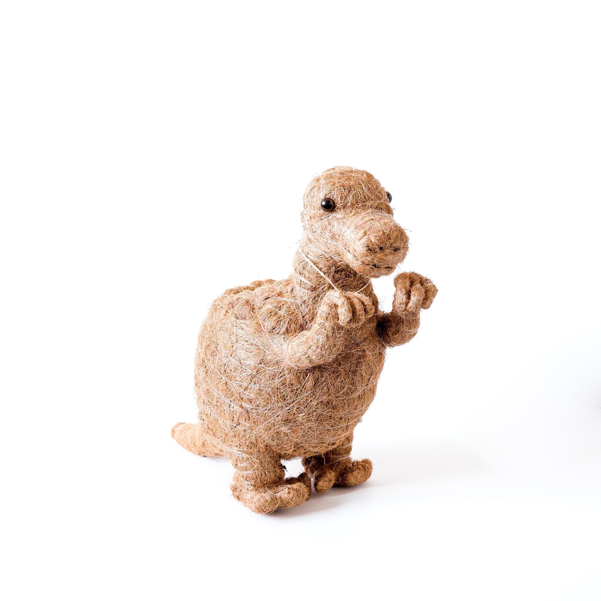 T-rex Planter - Coco Coir Pots | Likhâ