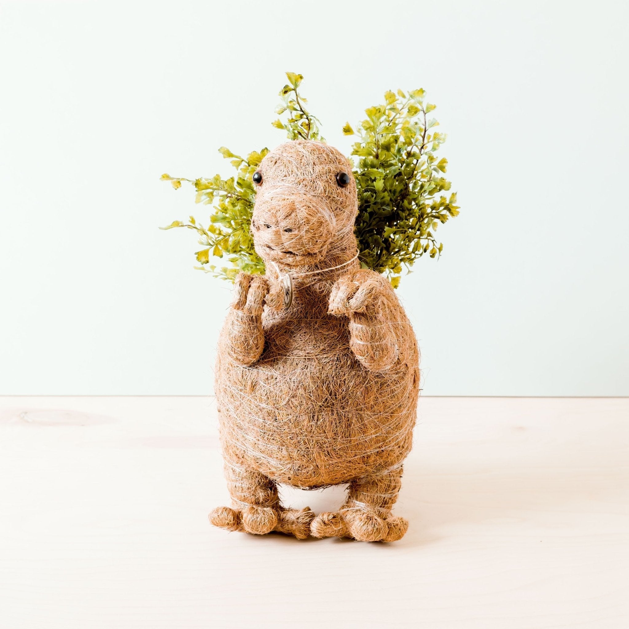 T-rex Planter - Coco Coir Pots | Likhâ