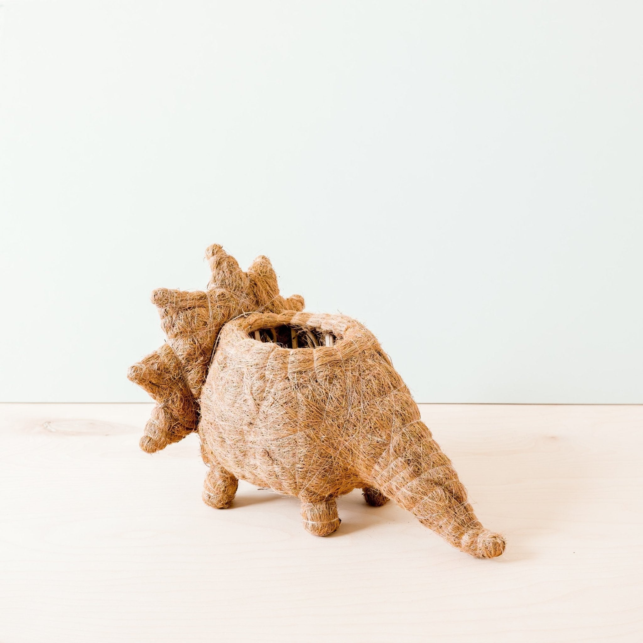 Triceratops Planter - Coco Coir Pots | Likhâ
