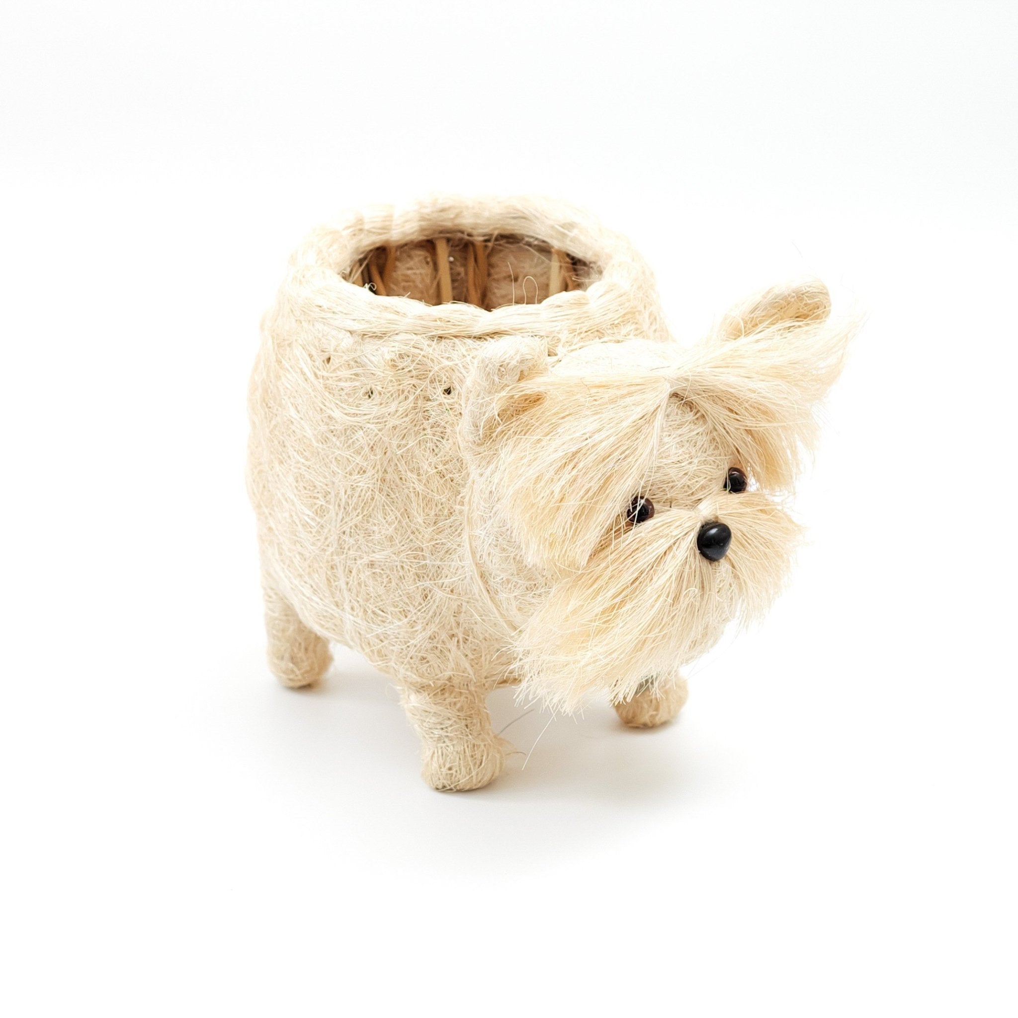 Westie Planter - Coco Coir Pots | Likhâ