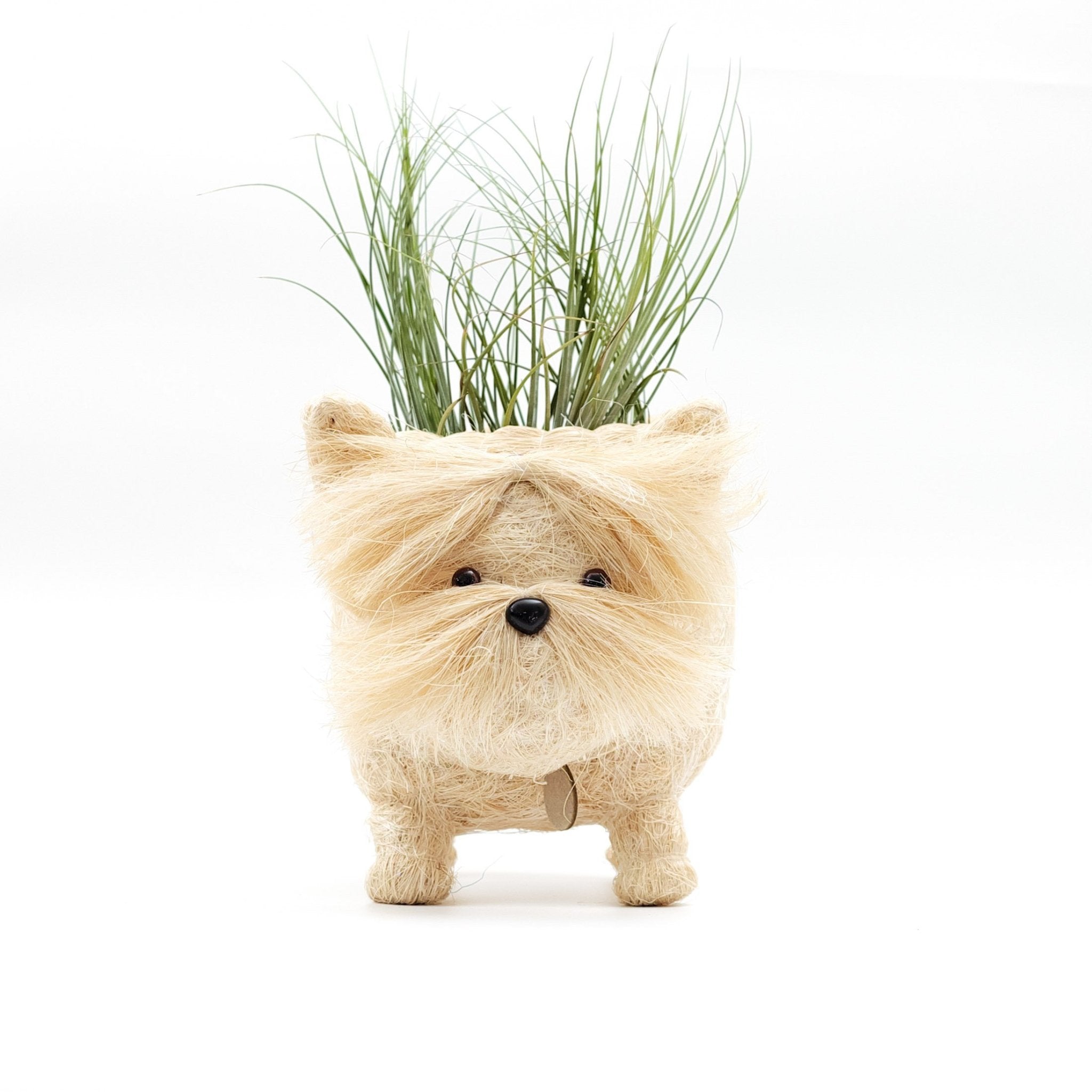 Westie Planter - Coco Coir Pots | Likhâ