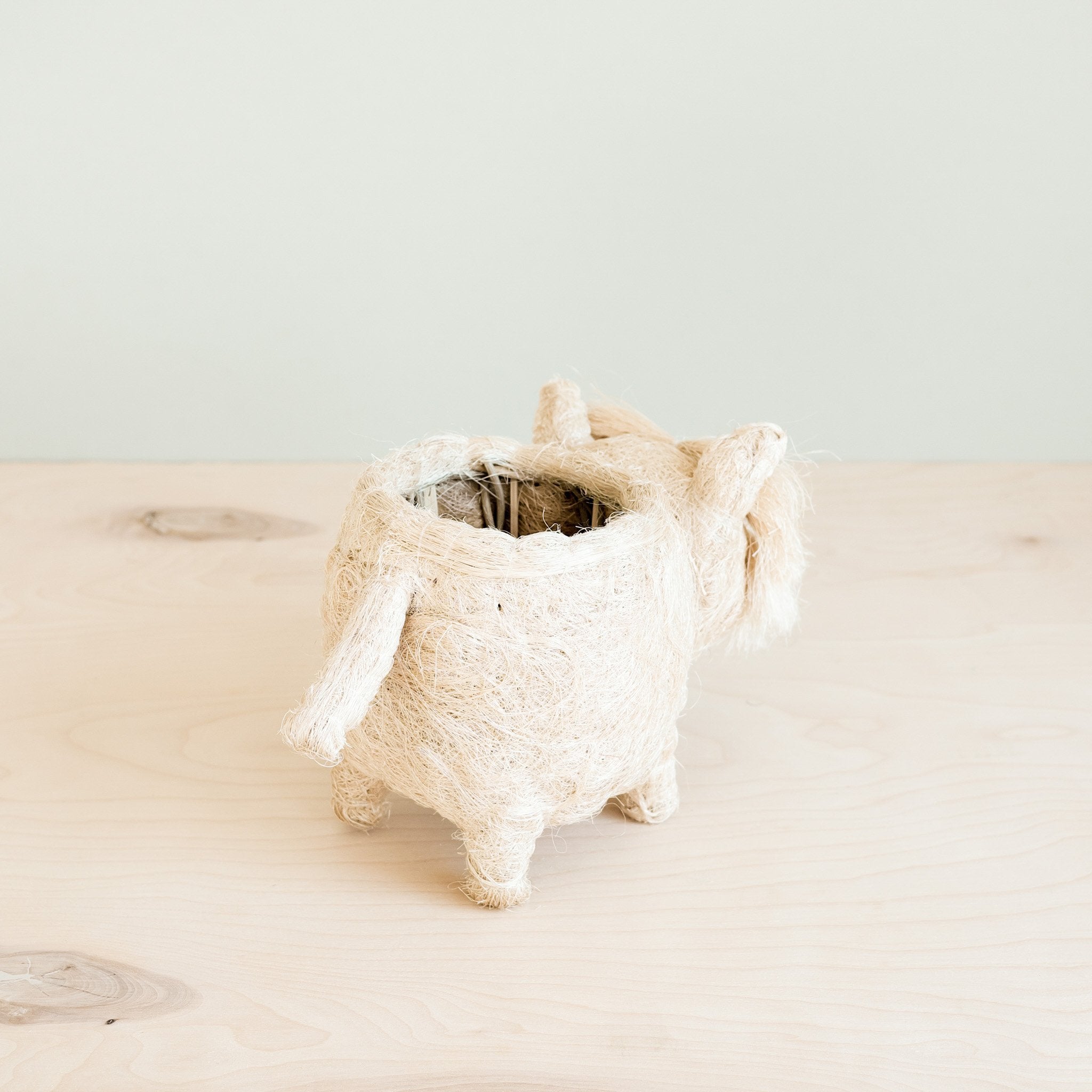 Westie Planter - Coco Coir Pots | Likhâ