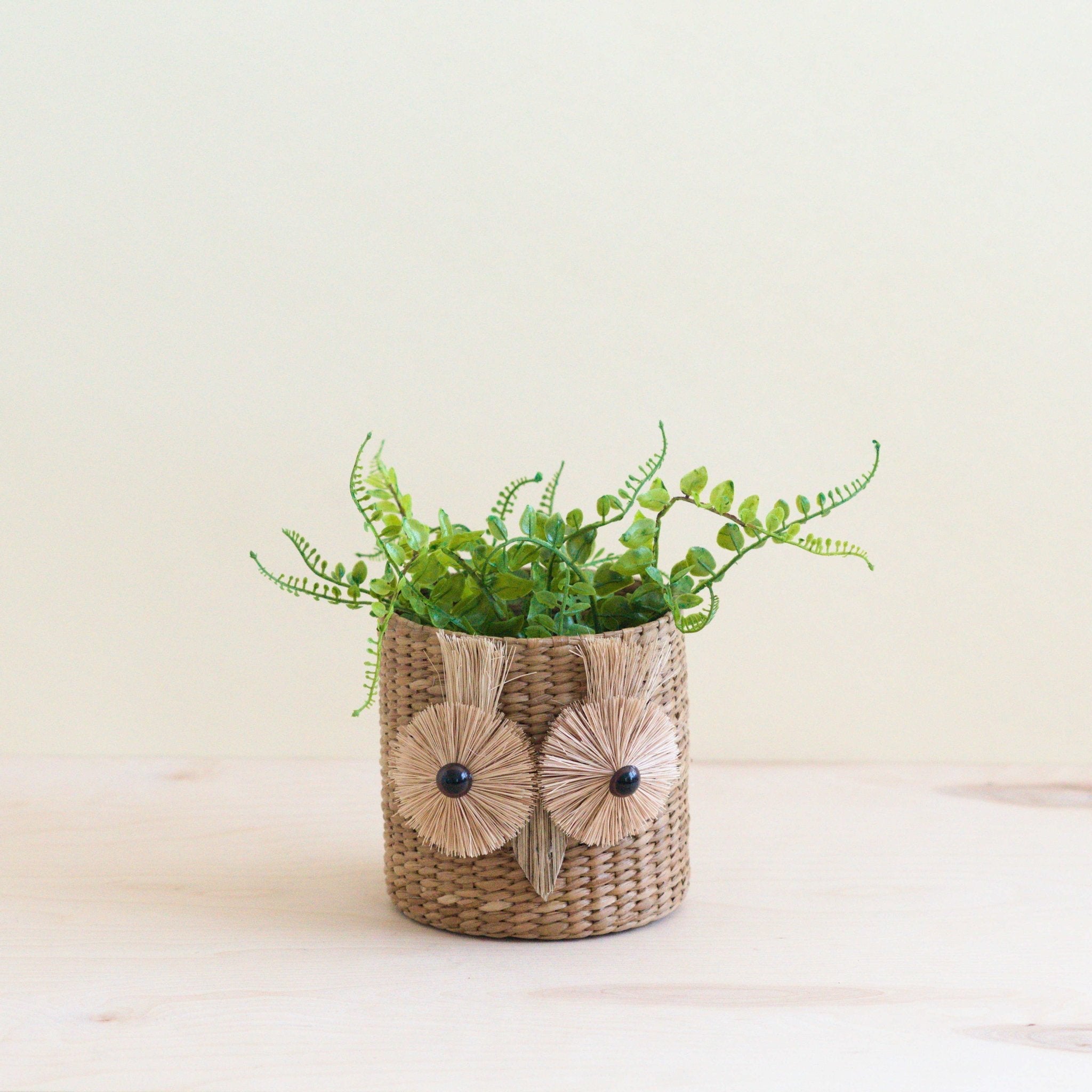 Owl 6" Seagrass Basket Planter - Succulent Plant Pot | Likhâ