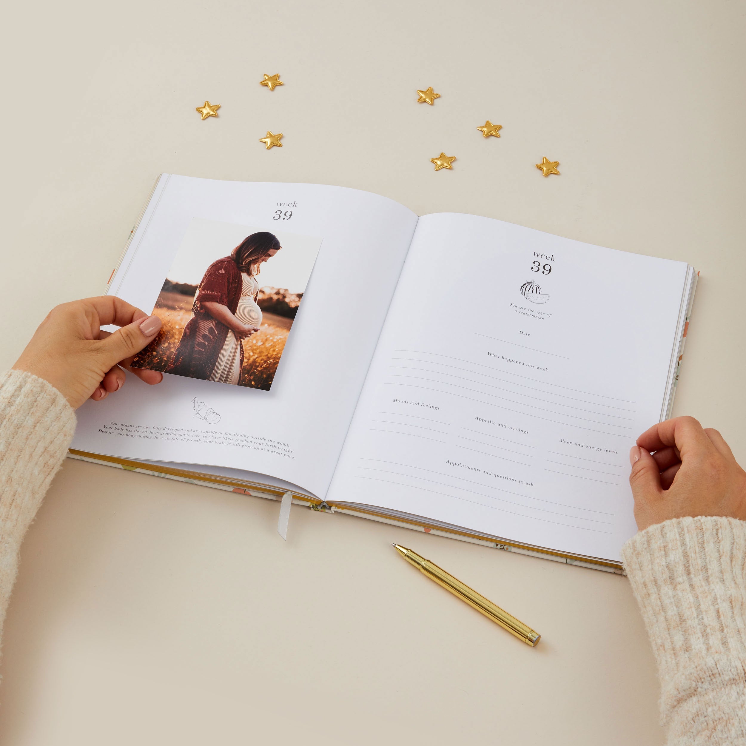 My Pregnancy Journal - Tutti Frutti