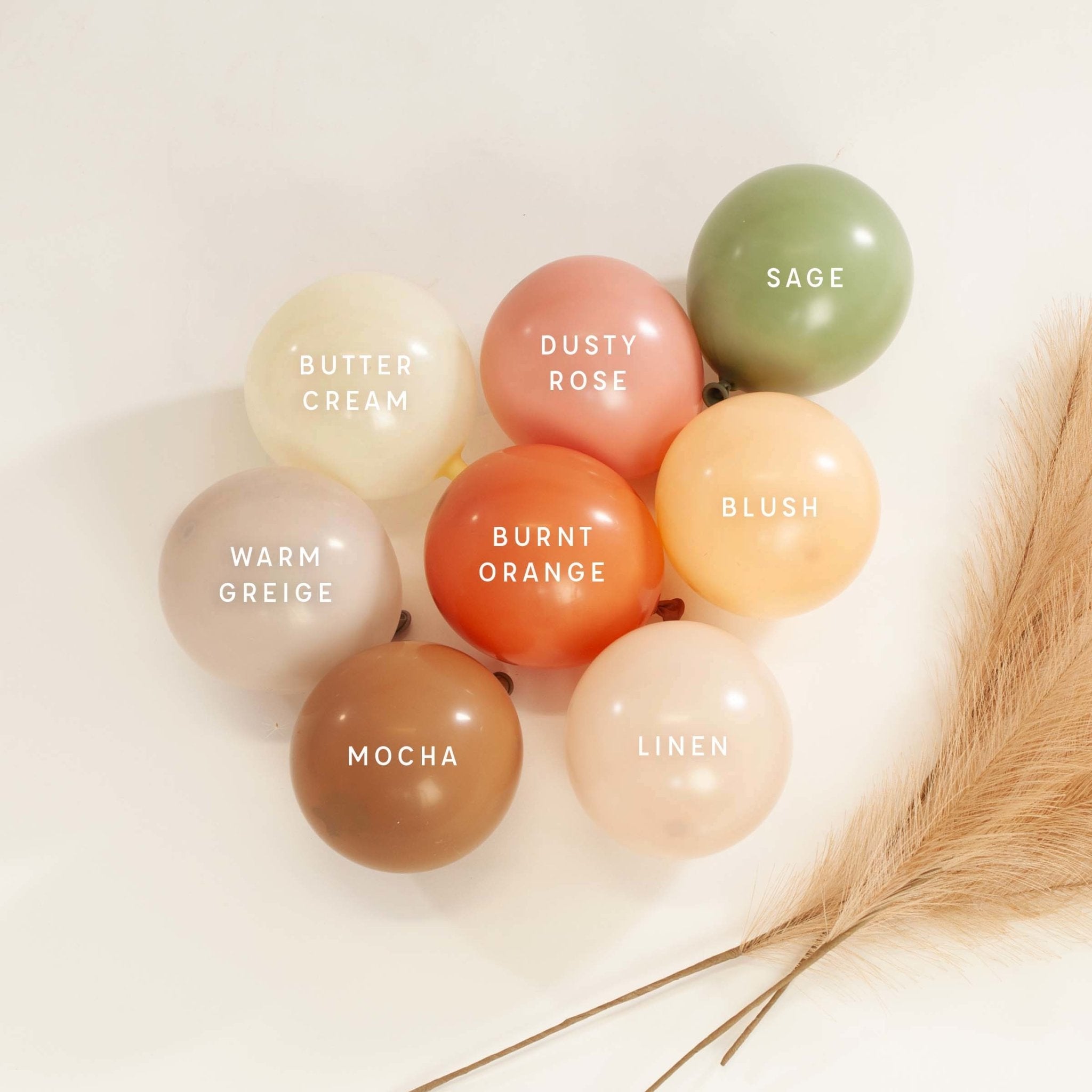 Premium Mocha Latex Balloon Packs (5", 11”, 16”, And 36”)