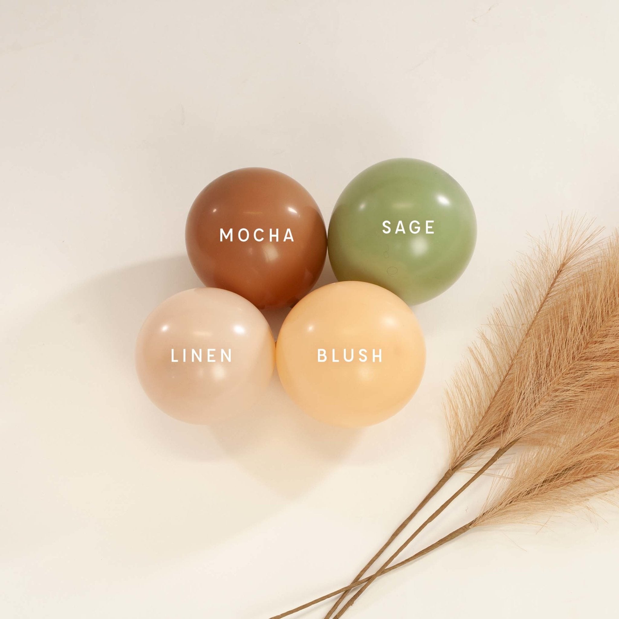 Premium Mocha Latex Balloon Cluster (5", 11” And 17”)