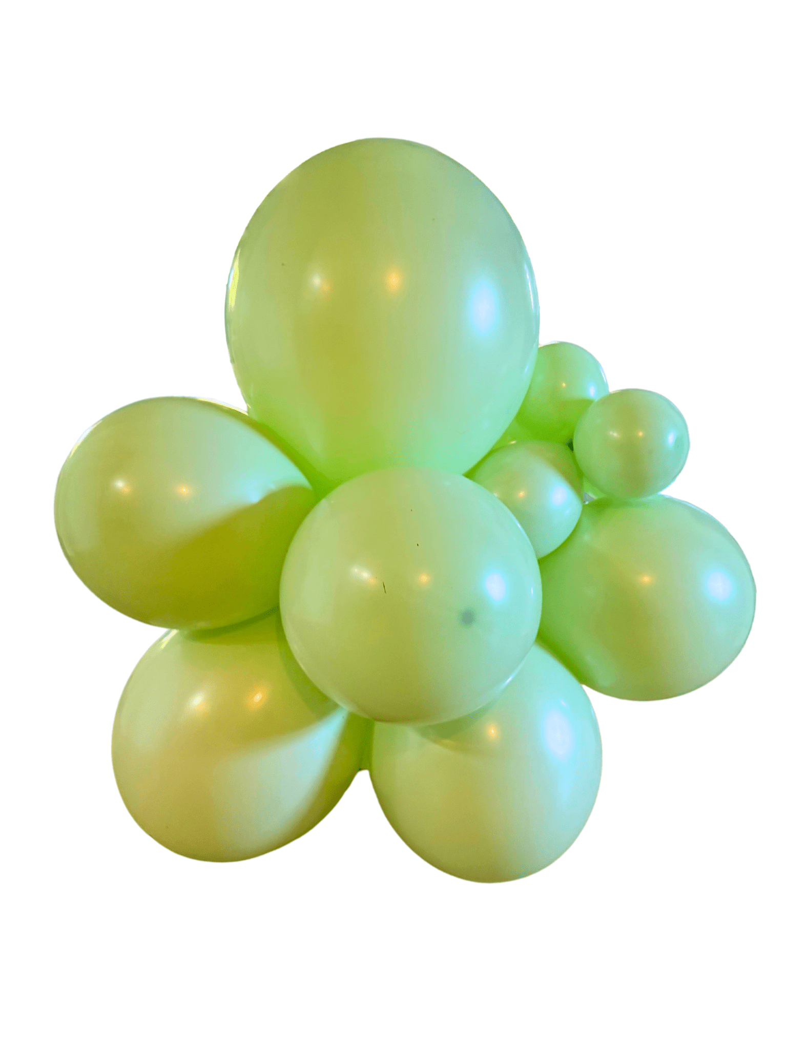 Premium Pastel Green Latex Balloon Cluster (5", 11” And 17”)