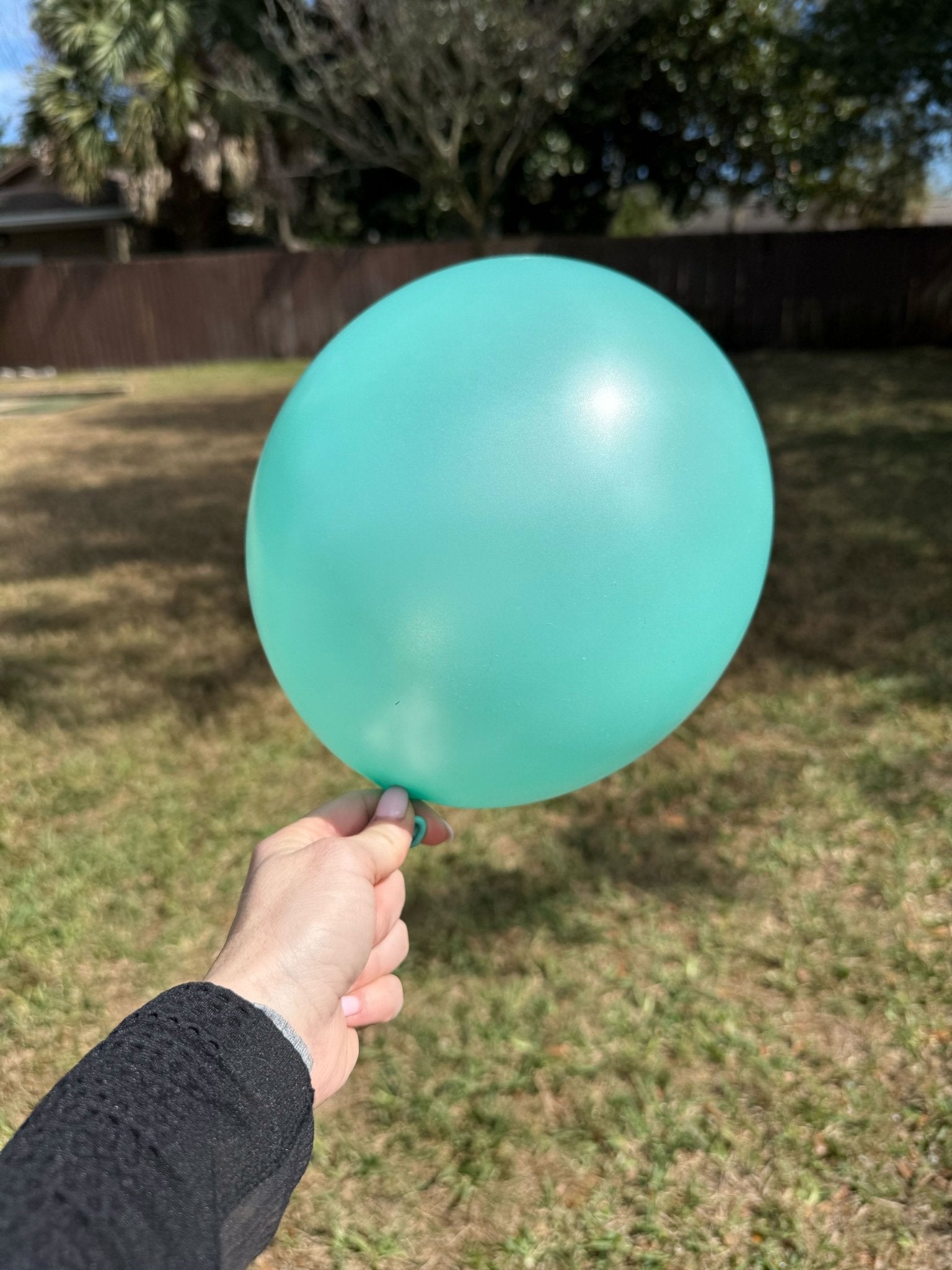 Premium Sea Foam Latex Balloon Packs (5", 11”, 16”, 24”, And 36”)