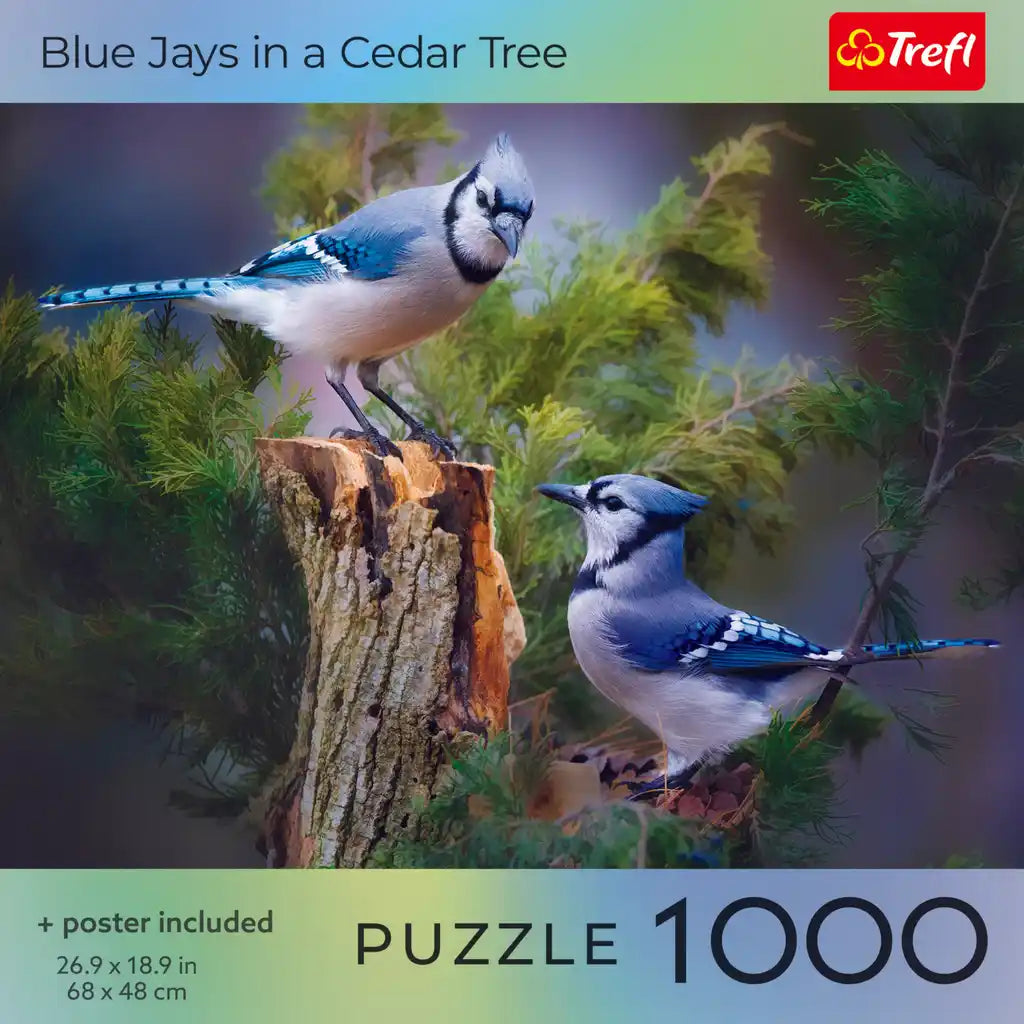 Bird Lovers: Blue Jays In A Cedar Tree 1000 Piece Puzzle