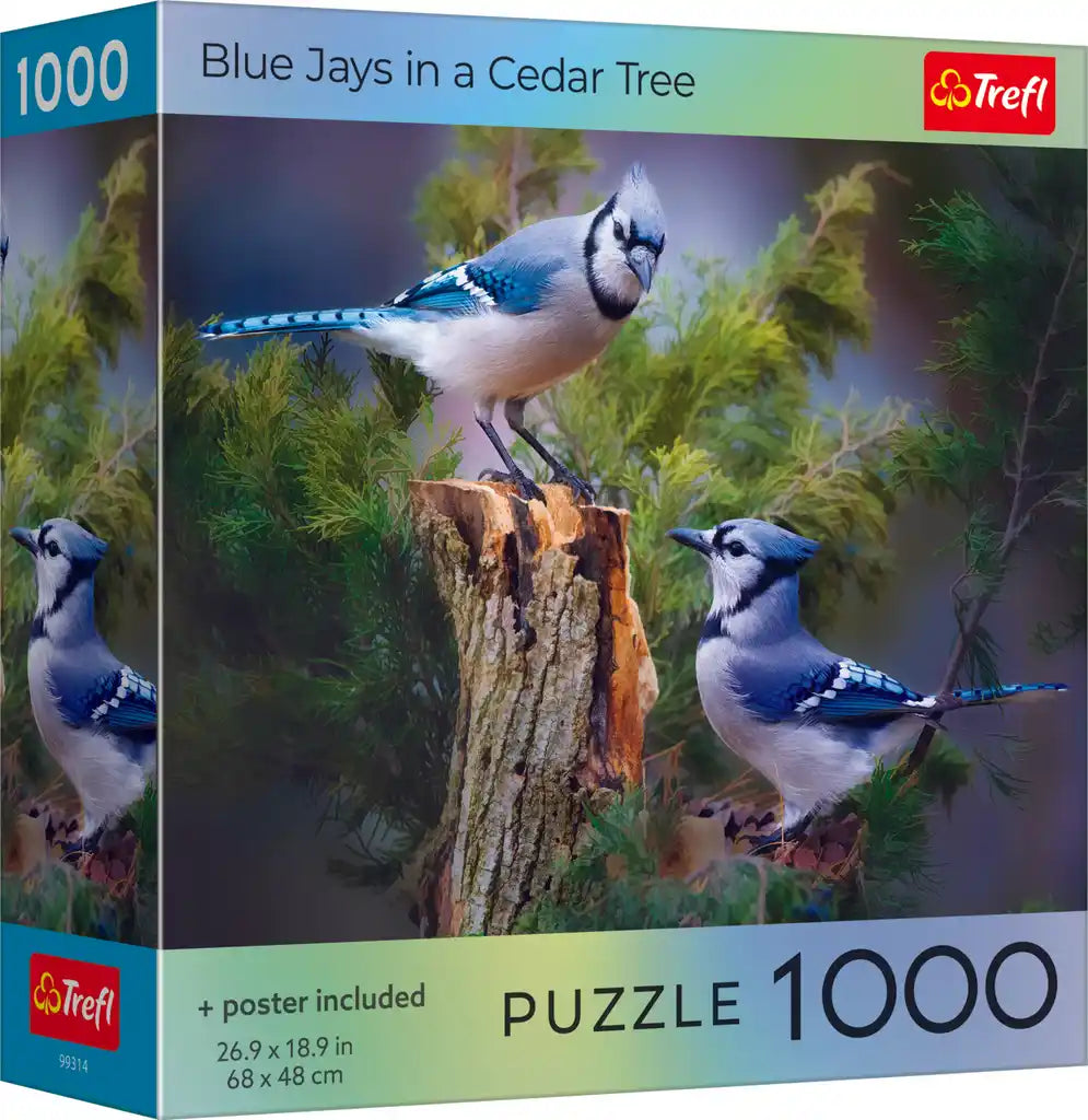 Bird Lovers: Blue Jays In A Cedar Tree 1000 Piece Puzzle