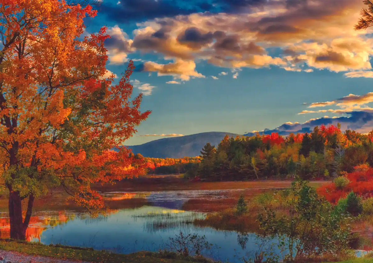 Fall In Acadia National Park 1000 Piece Puzzle