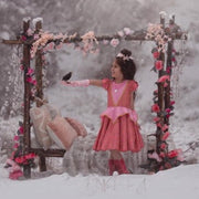 Sleeping Beauty Twirl Dress