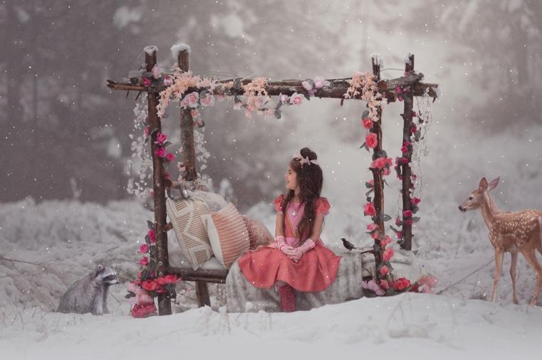 Sleeping Beauty Twirl Dress