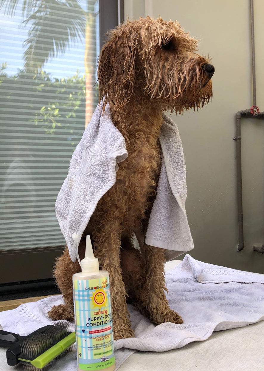 Calming™  Puppy + Dog Conditioner