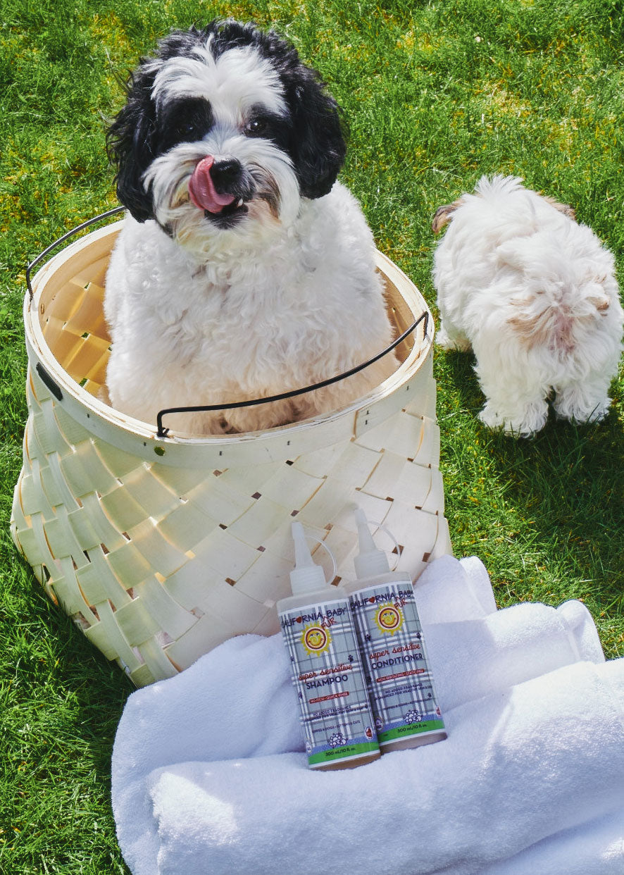 (no Fragrance) Super Sensitive™ Puppy + Dog + Kitty Wash