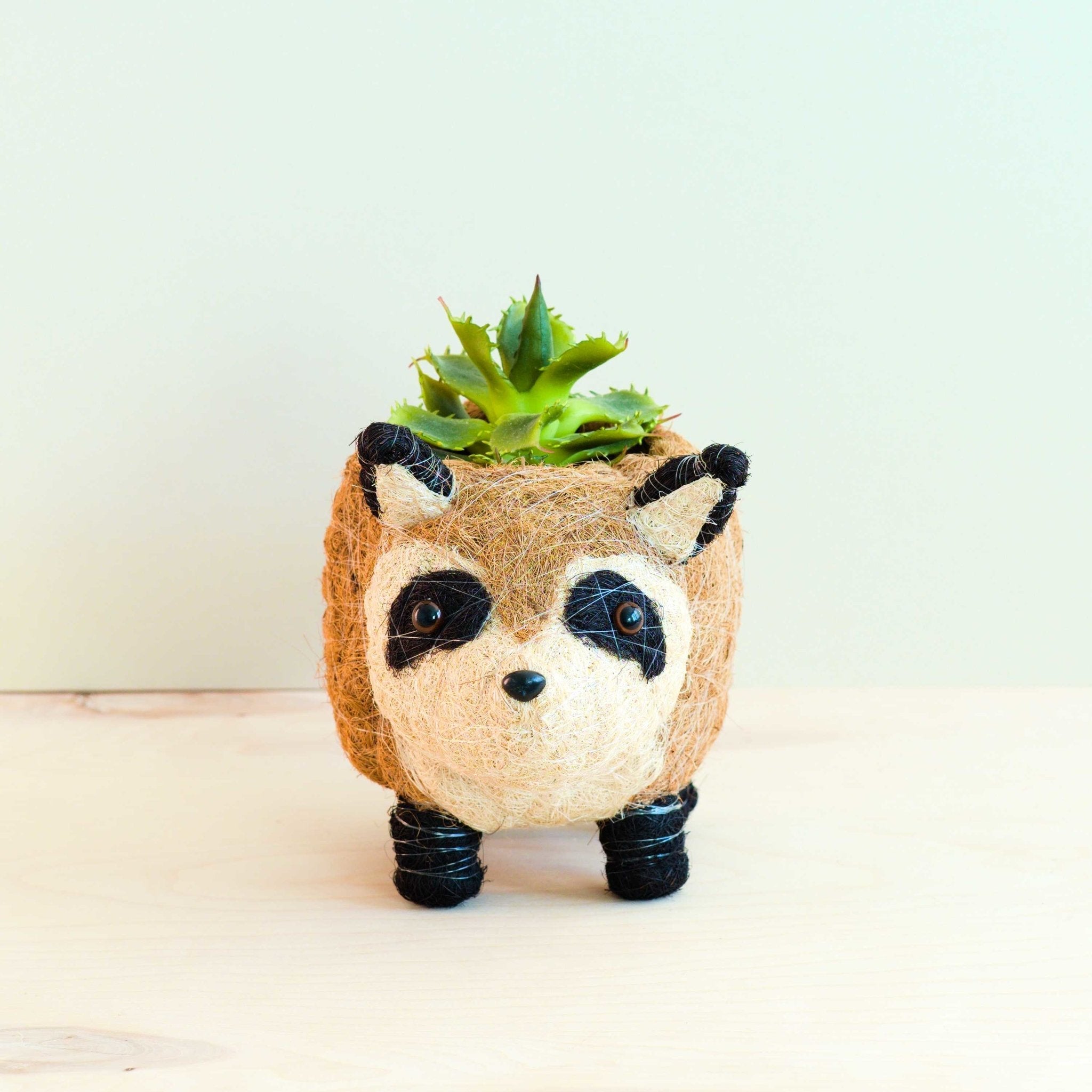 Raccoon Planter - Handmade Plant Pot | Likhâ