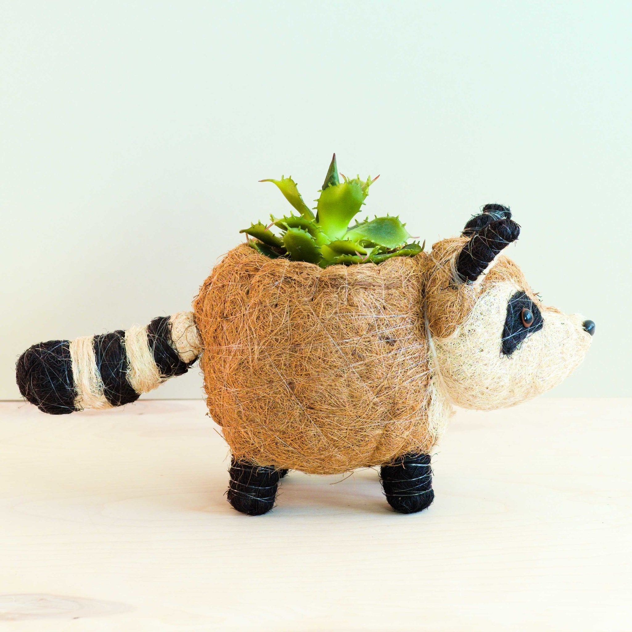Raccoon Planter - Handmade Plant Pot | Likhâ