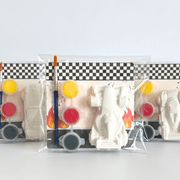 Race Car Paint Kit