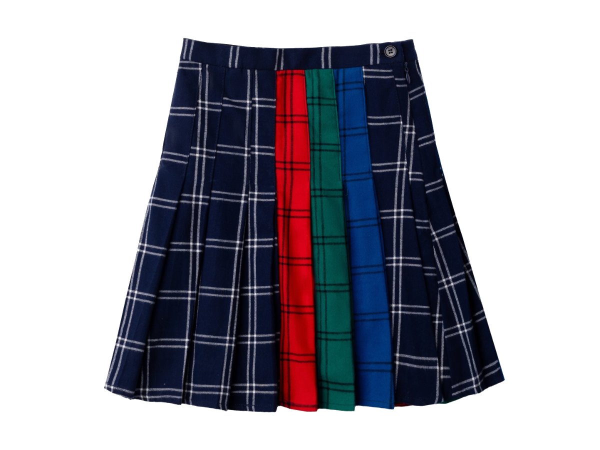 Rae Multi Pleated Skirt