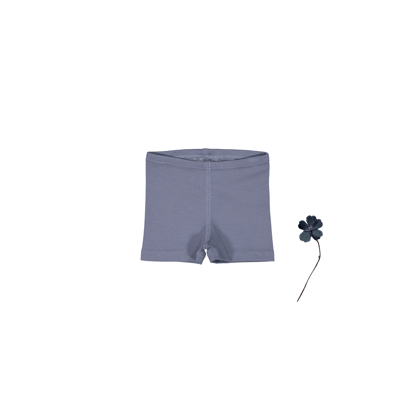 The Short - Midnight