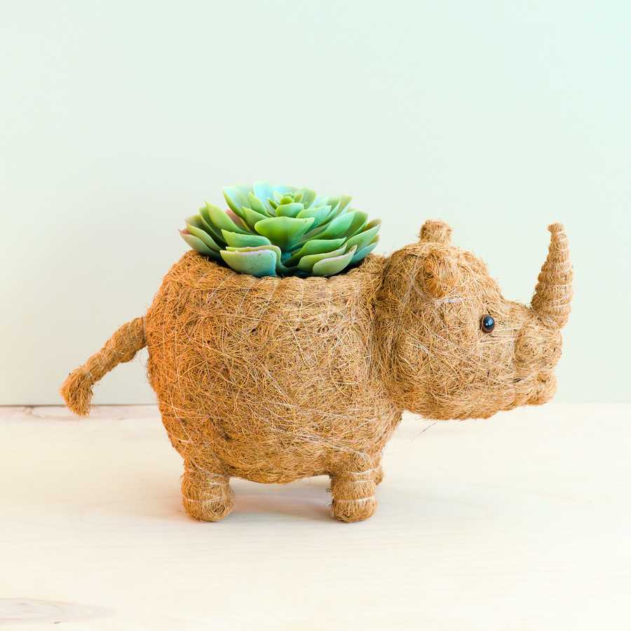 Rhino Planter - Coco Coir Pot | Likhâ