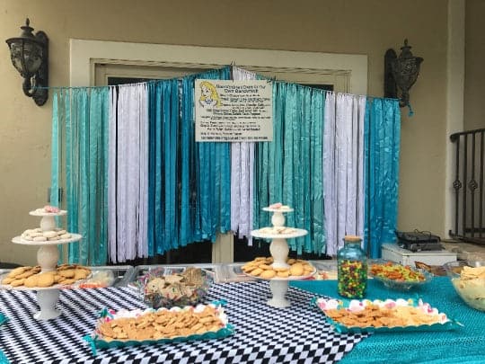 Ribbon Curtain Photo Booth Backdrops