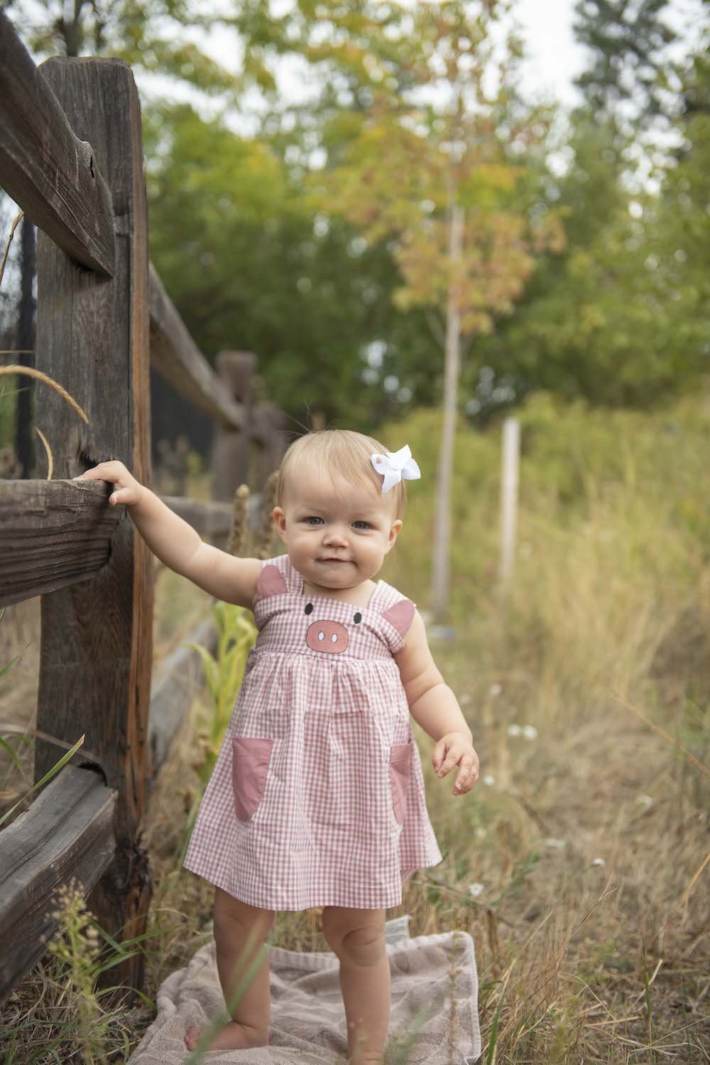 Rose Gingham Little Piggy Sleeveless A-line Dress